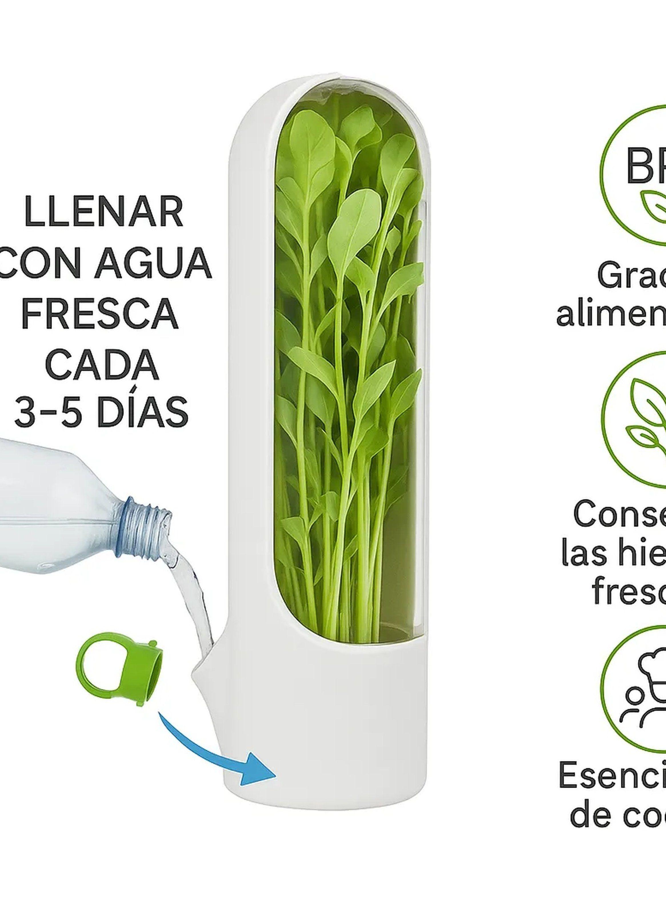 Contenedor de Hierbas Frescas Hermético Blanco-6