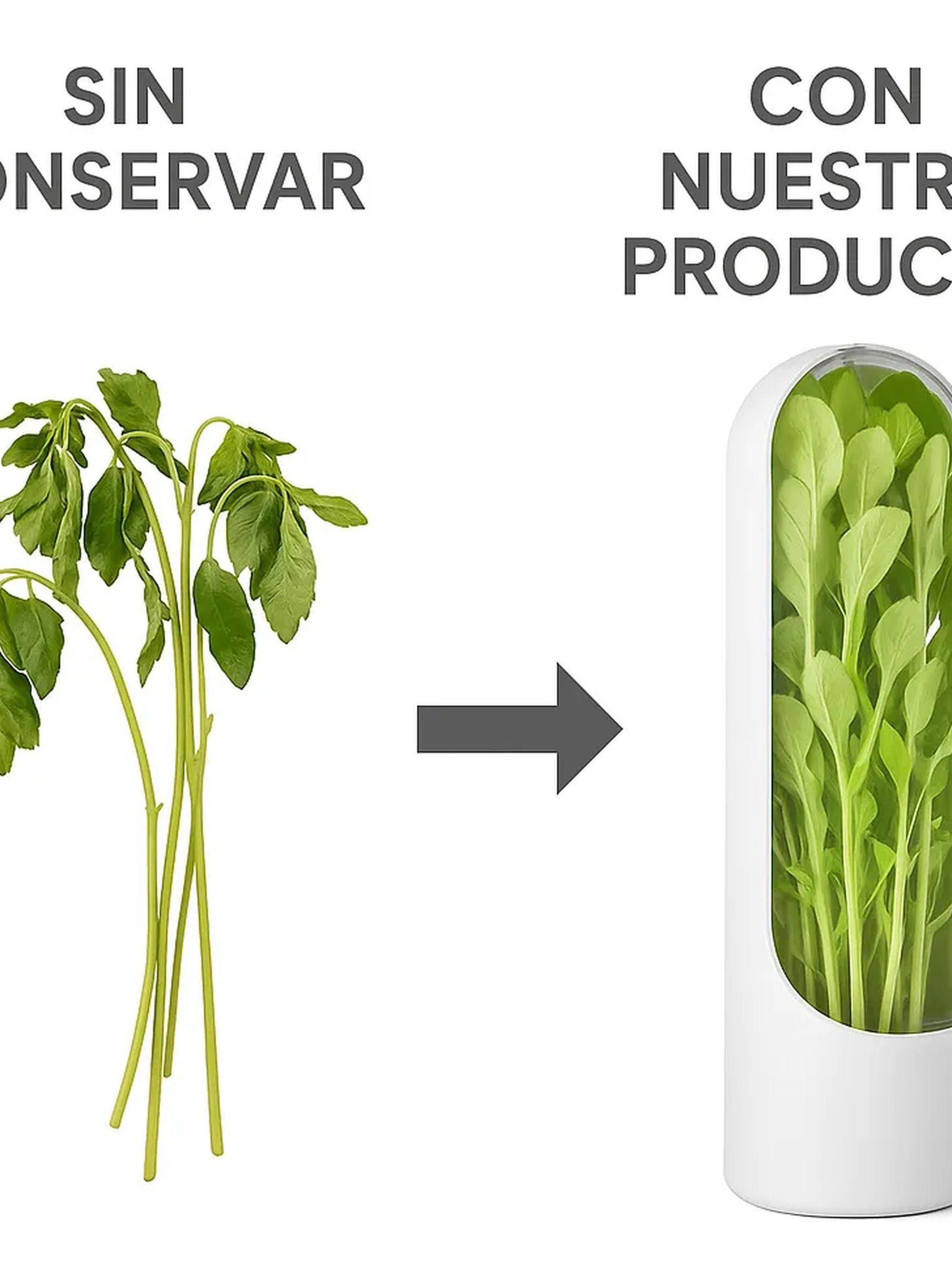 Contenedor de Hierbas Frescas Hermético Blanco-7