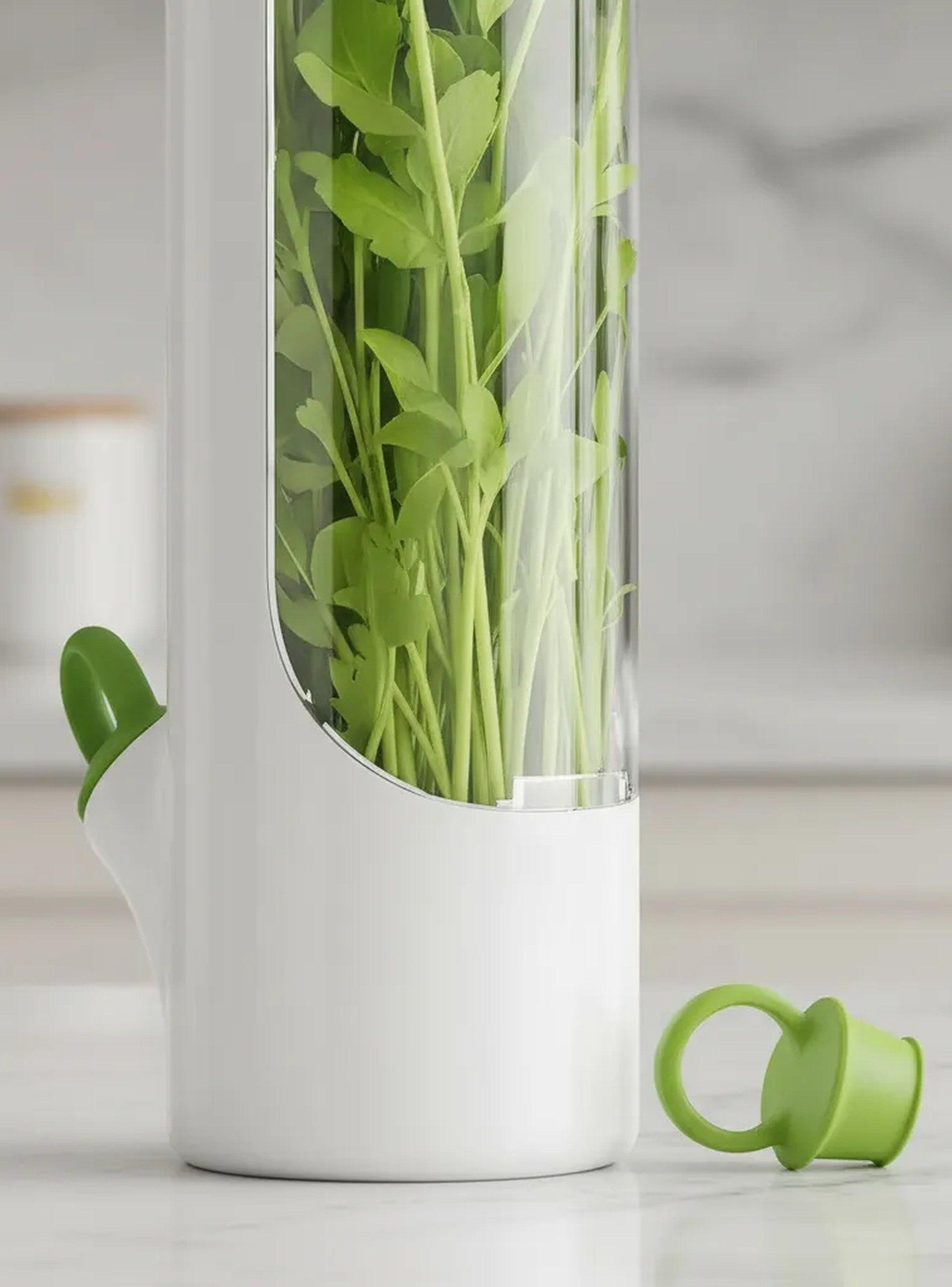 Contenedor de Hierbas Frescas Hermético Blanco-9