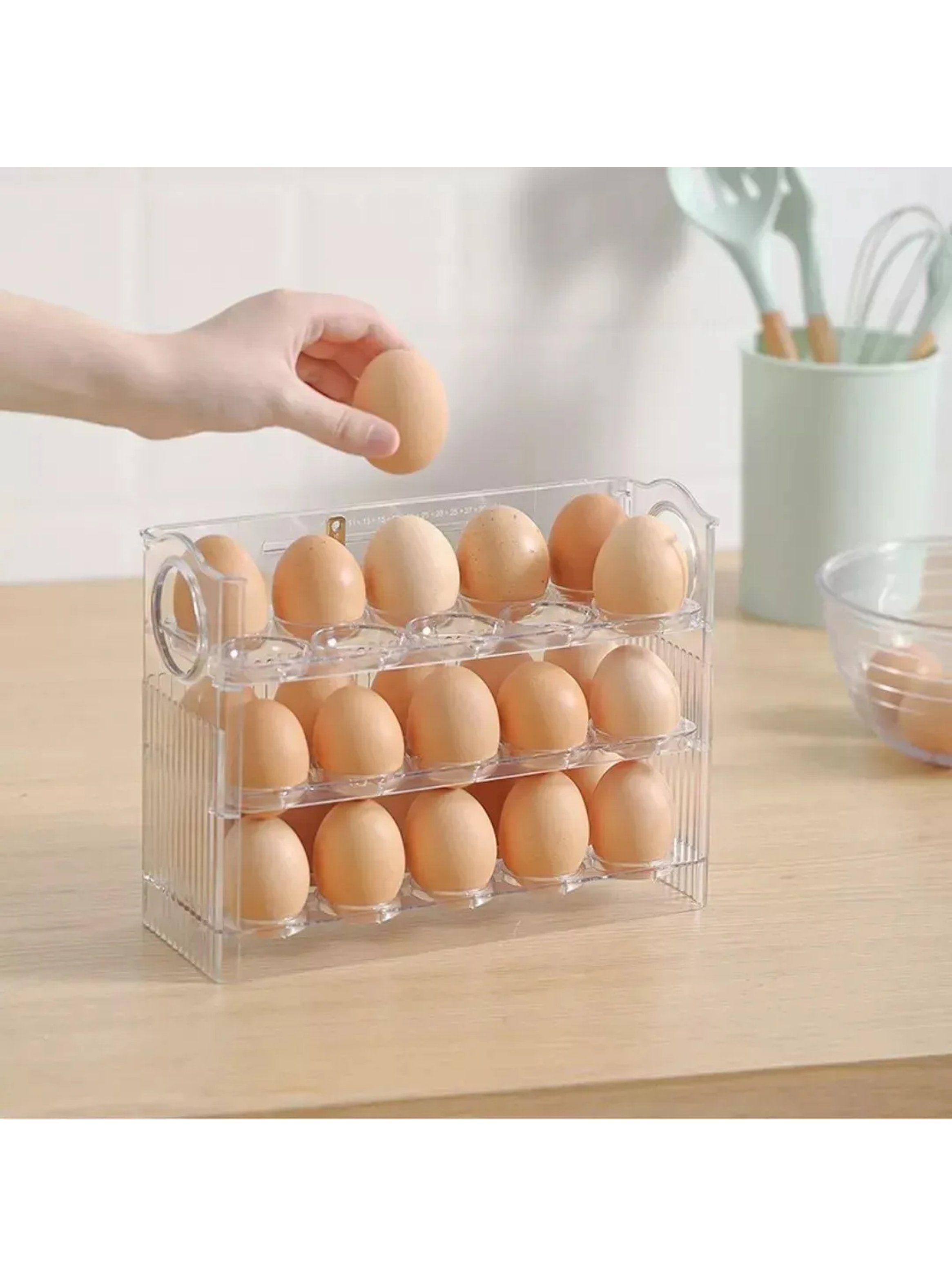 Contenedor de Huevos Apilable Transparente 26cm x 20.2cm x 10cm-4