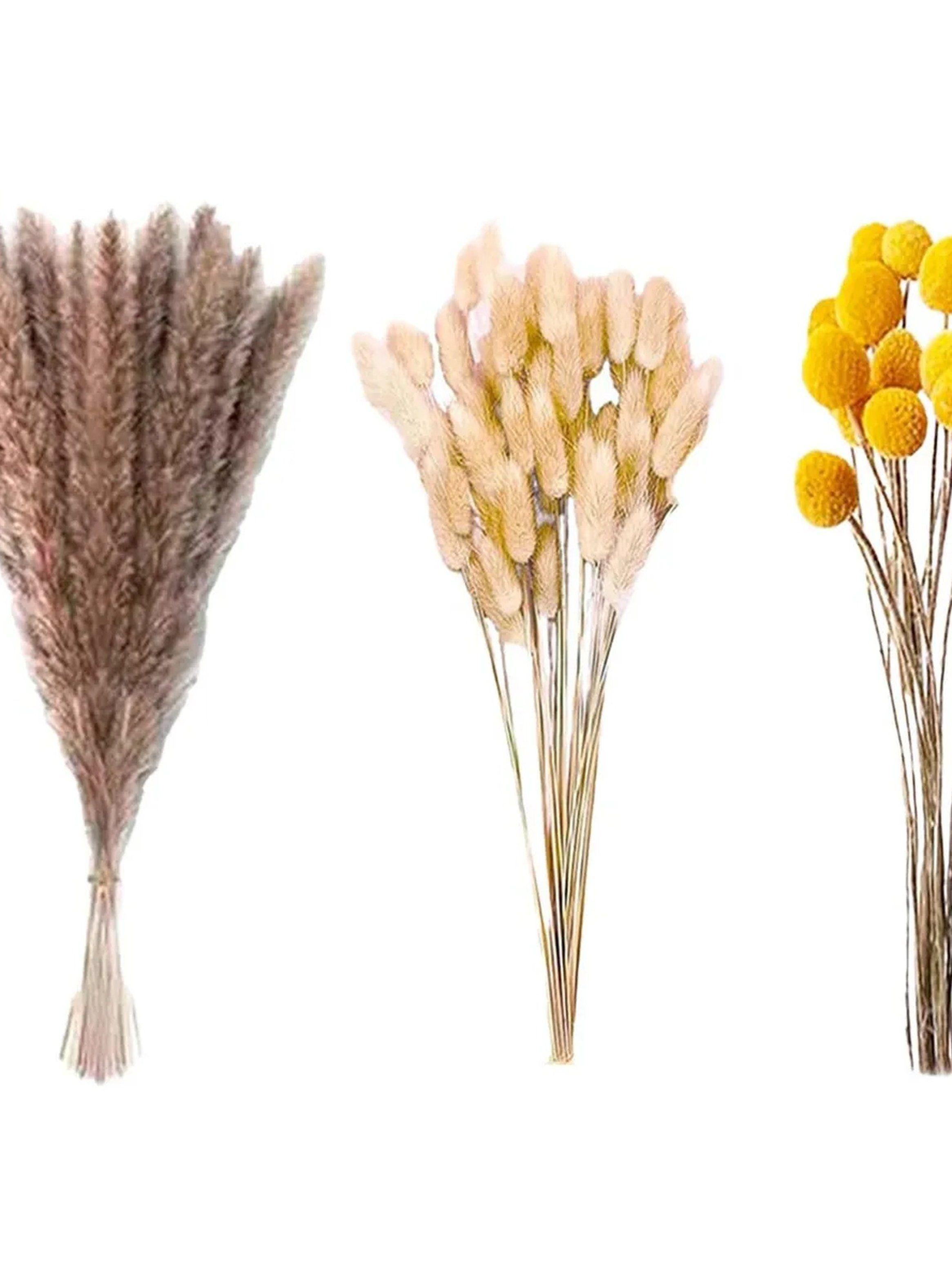 Ramo de Flores Secas Decorativas Color Mixto-7