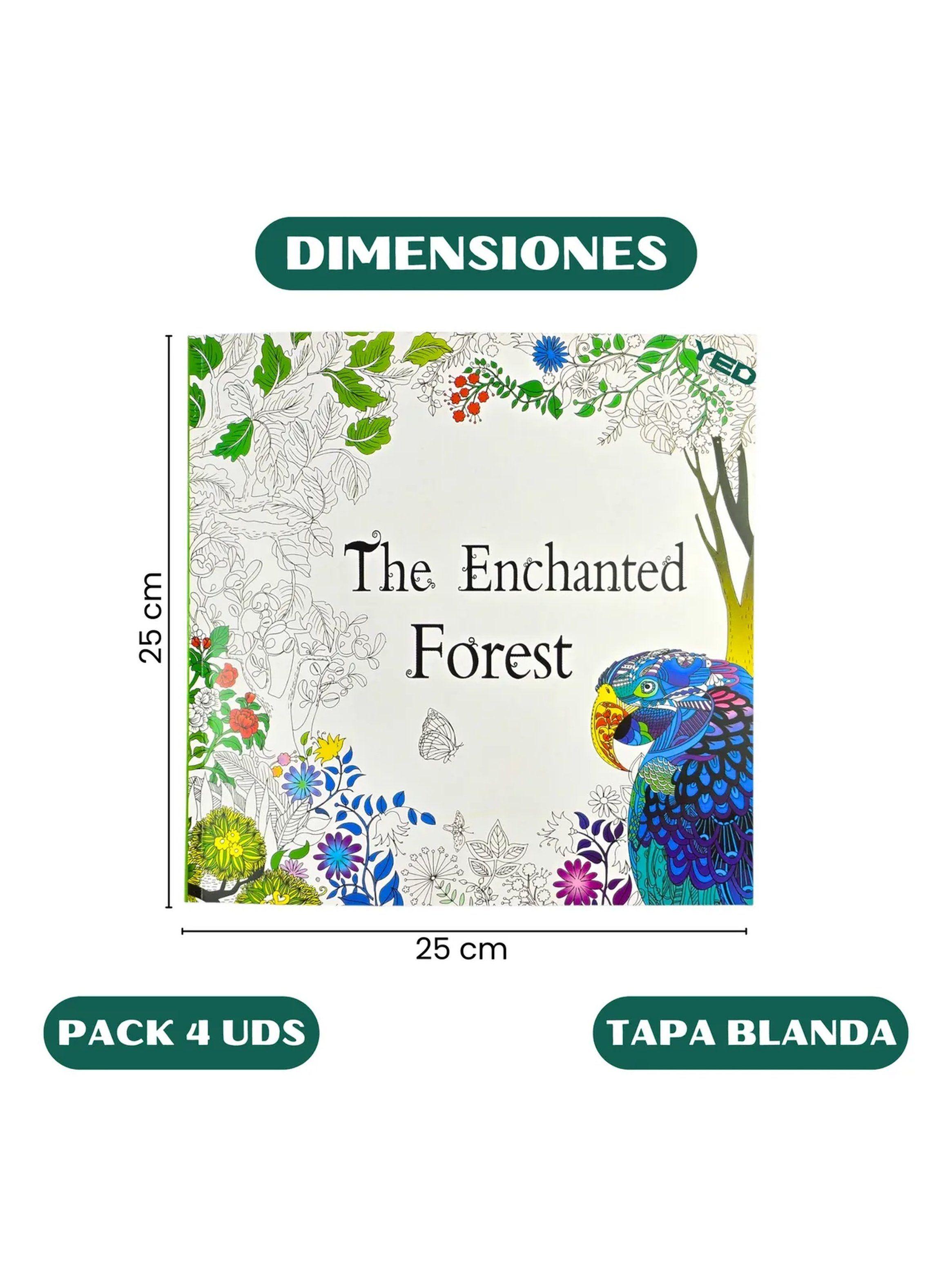 Libros Para Colorear Pack 4 Unidades Tapa Blanda 25x25 cm-1