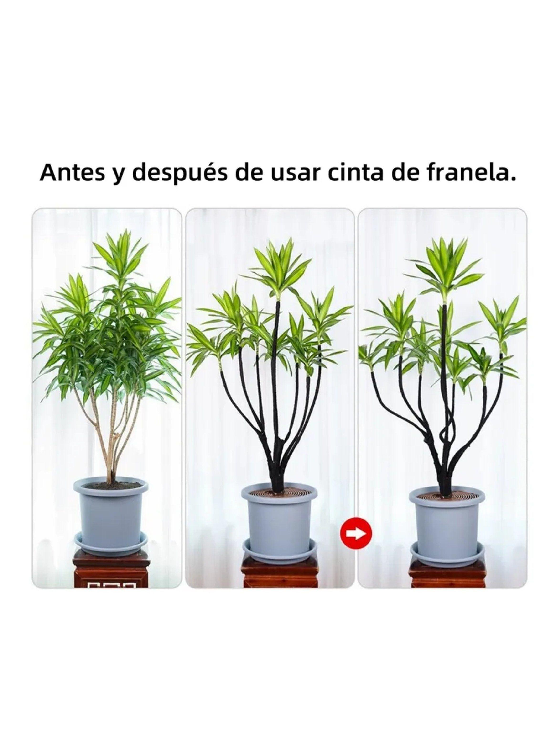 Cinta Adhesiva de Tela Automotriz 19mm x 15m | 10 Unidades-5