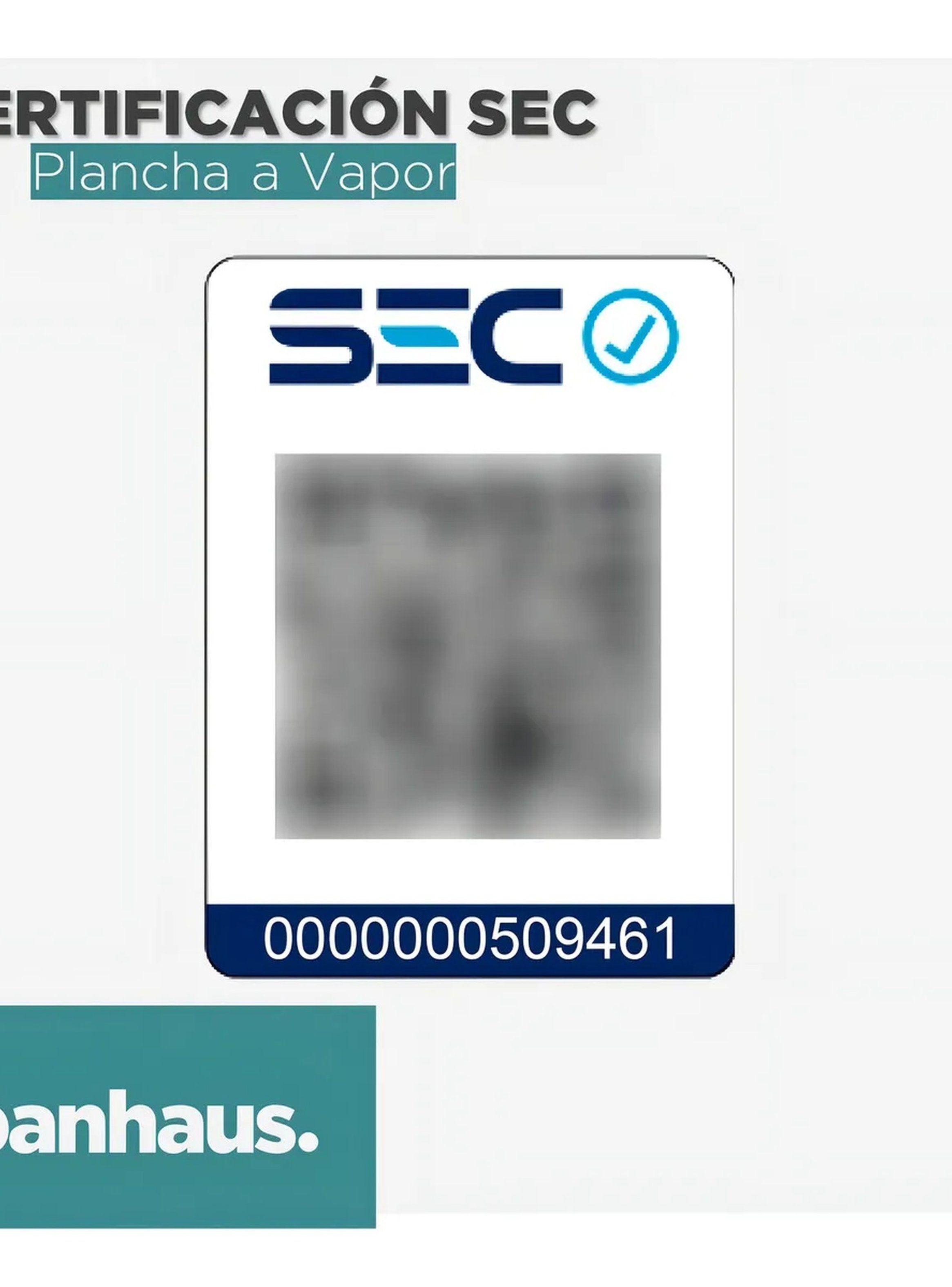 Plancha a Vapor Portátil 260ml Certificación SEC-2