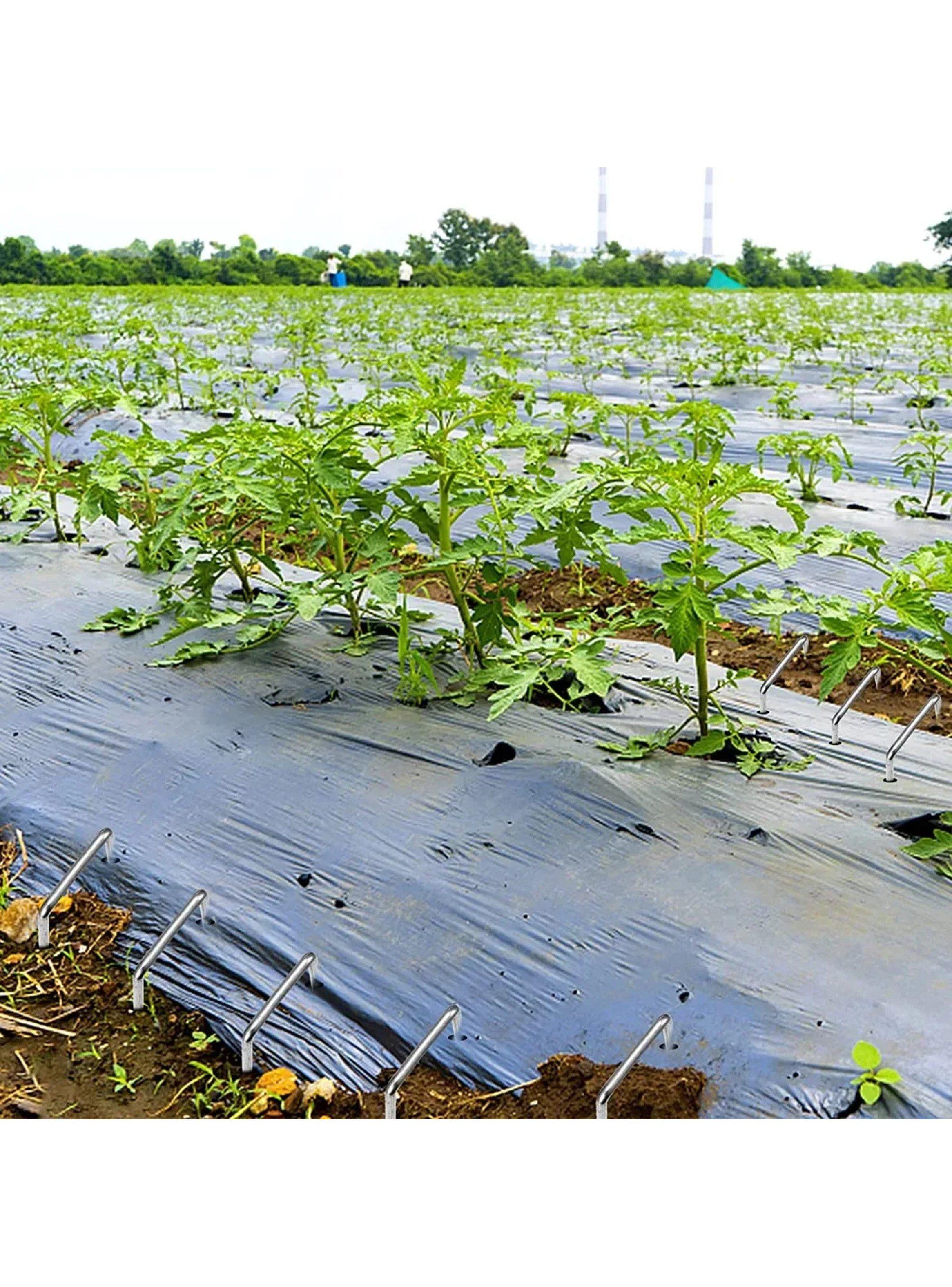 Estacas de Jardín Galvanizadas Resistentes al Óxido x100 | 150 mm x 36 mm-8