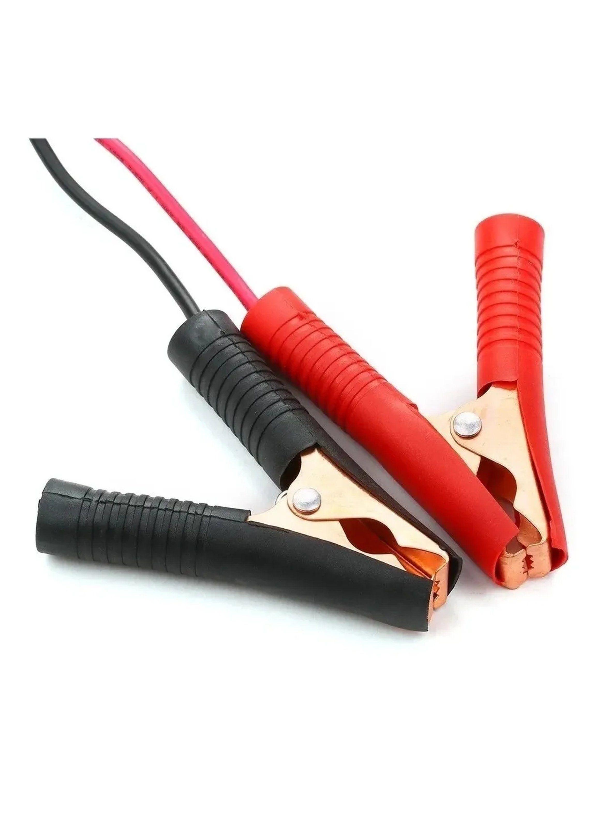 Cargador de Baterías Inteligente 12V 24V Multivoltaje-3