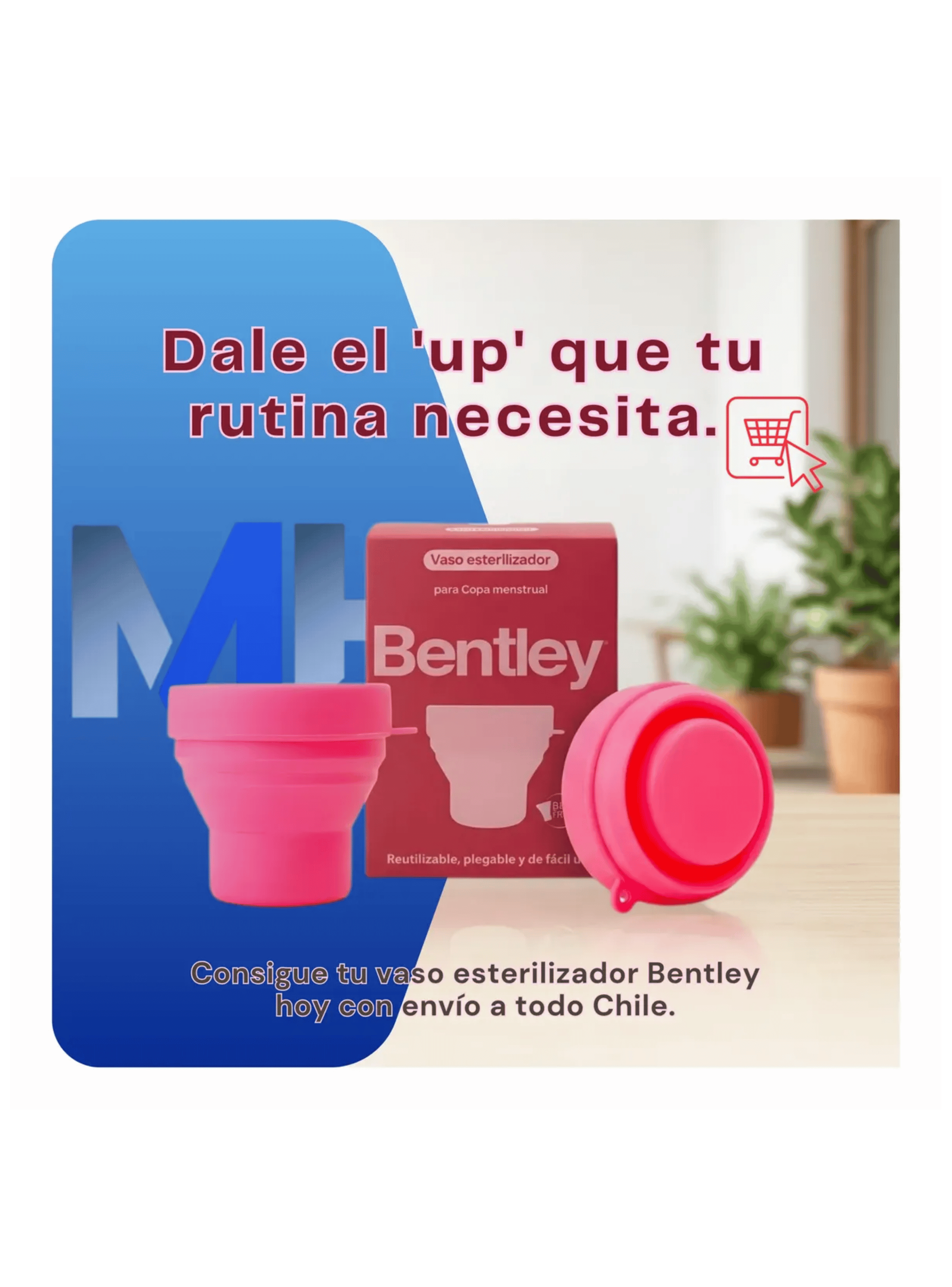 Vaso Esterilizador Copa Menstrual Bentley Silicona Rosa-6