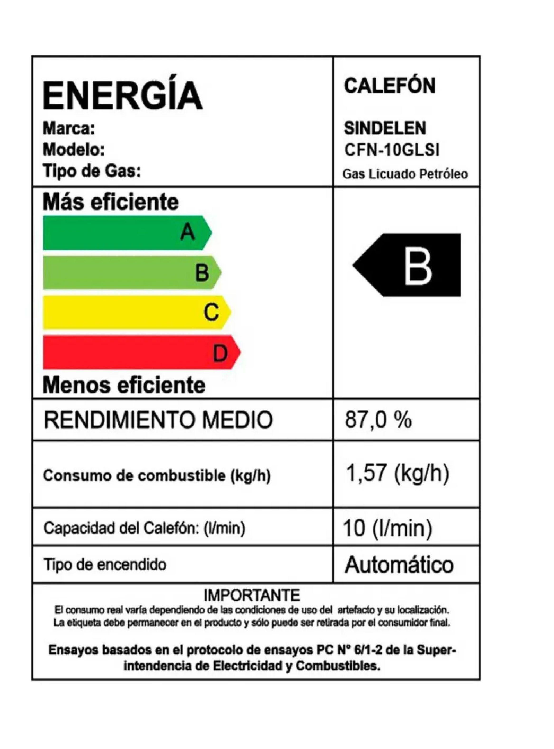 Calefon Sindelen 10 Lt Glp Tiro Natural Gas Licuado Plateado-3