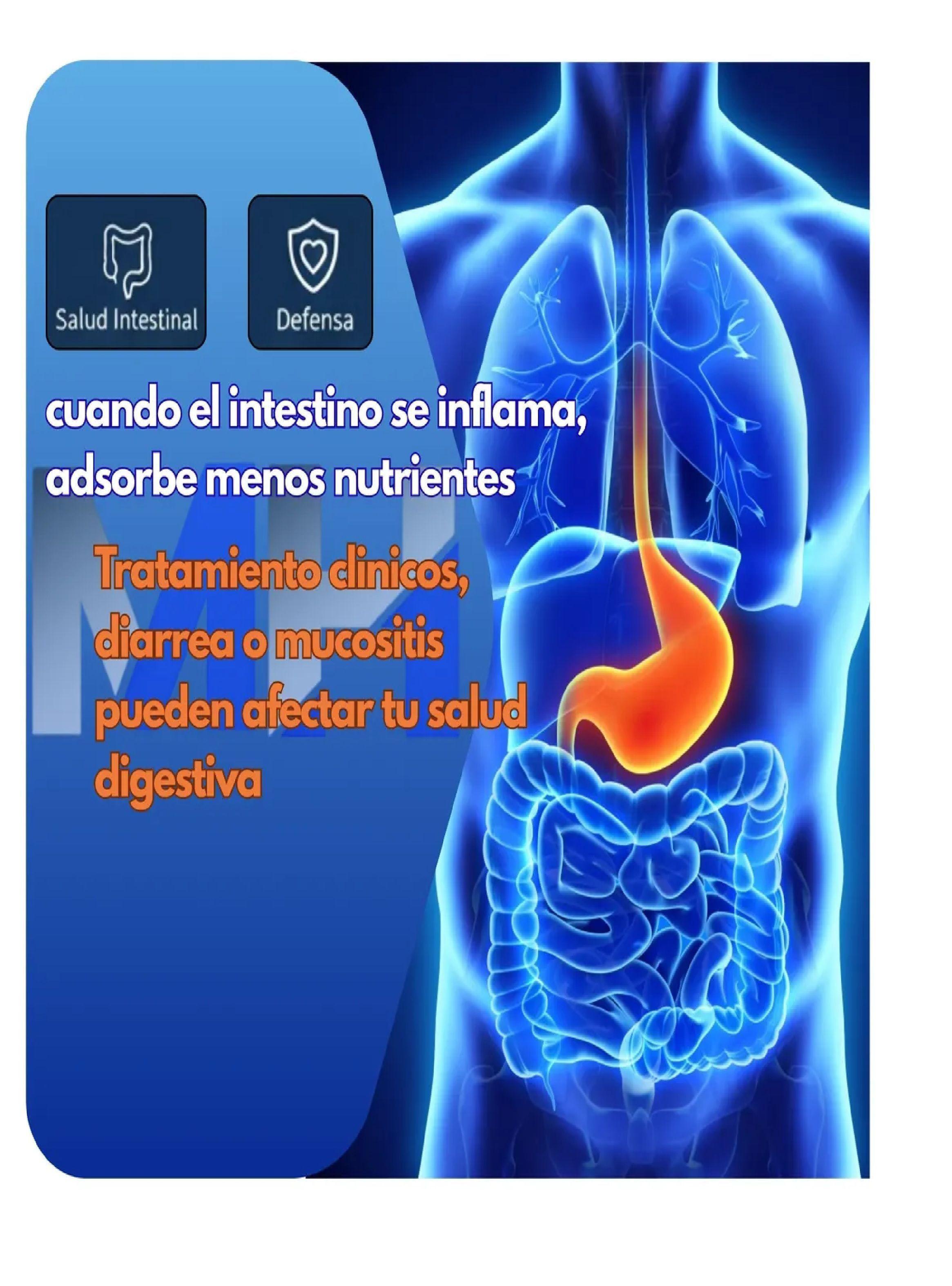 Vivalite Glutabiotic Restaurador Intestinal 3 Sobres Diarrea-4