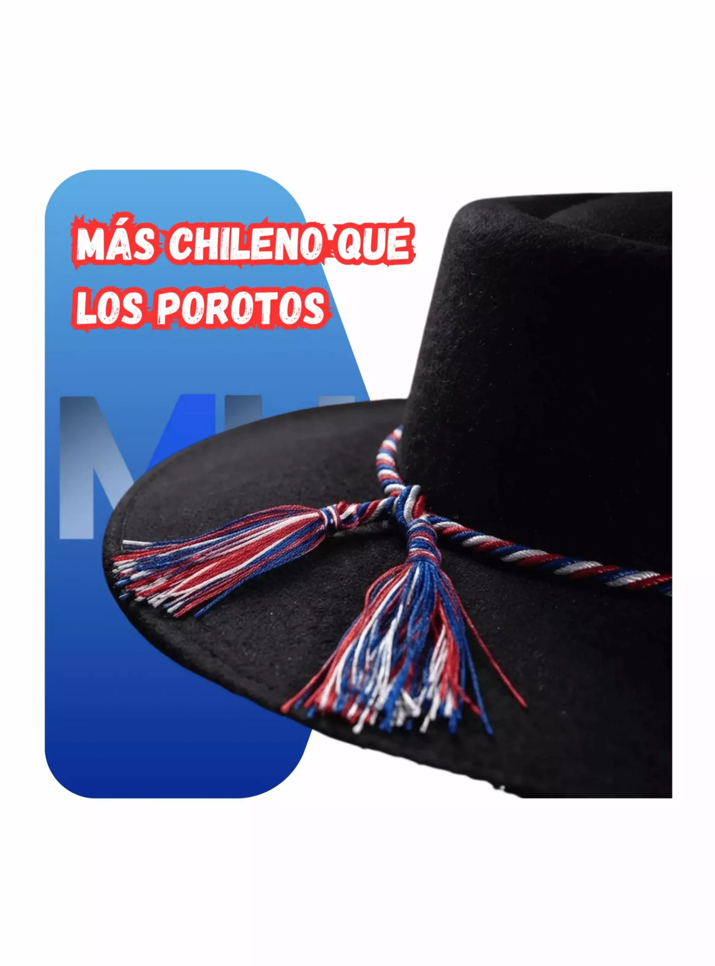Sombrero De Huaso Negro Ala Ancha Con Cord n Tricolor 36 Cm-3