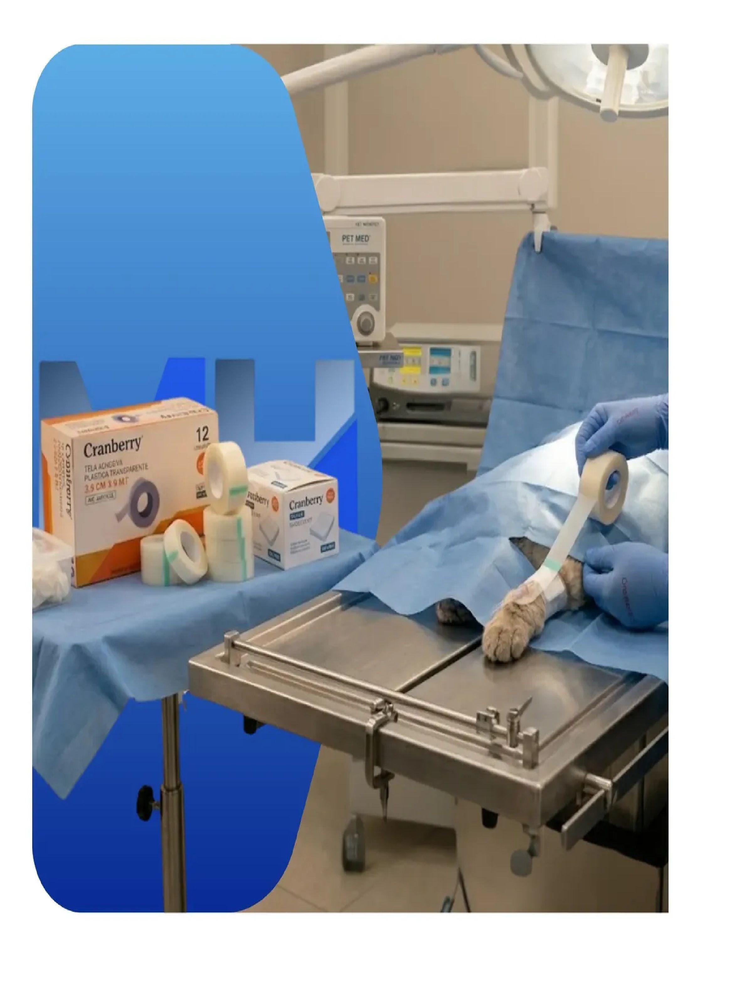 Tela Adhesiva Plastica Transparente 2,5cm Cranberry Pack 12-4