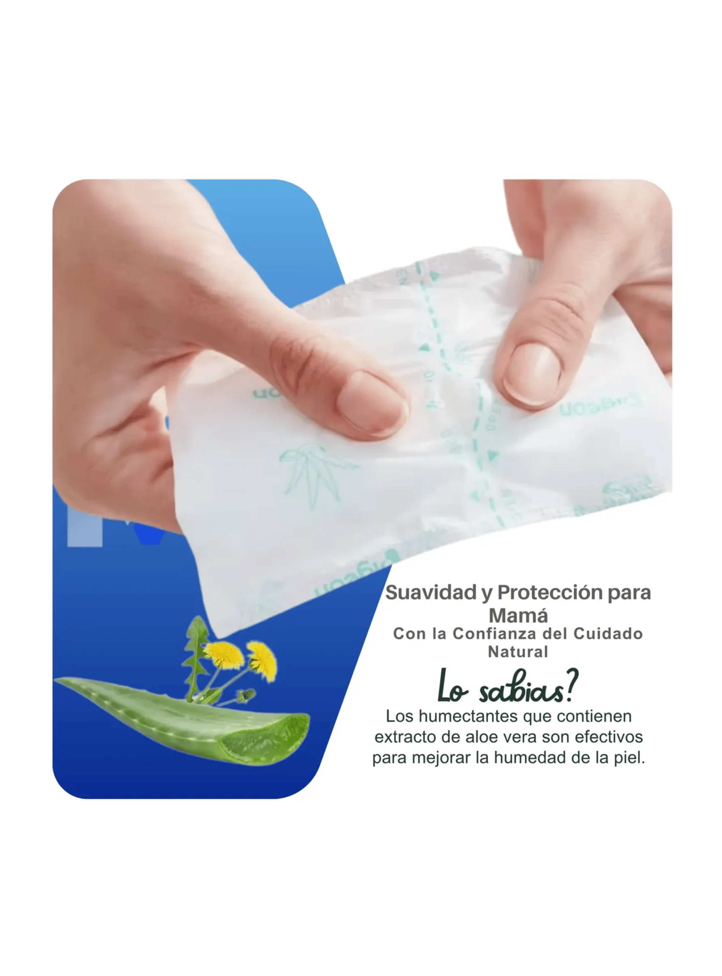 Protectores De Lactancia Adsorbente Pigeon Comfy Feel 24 Uni-5