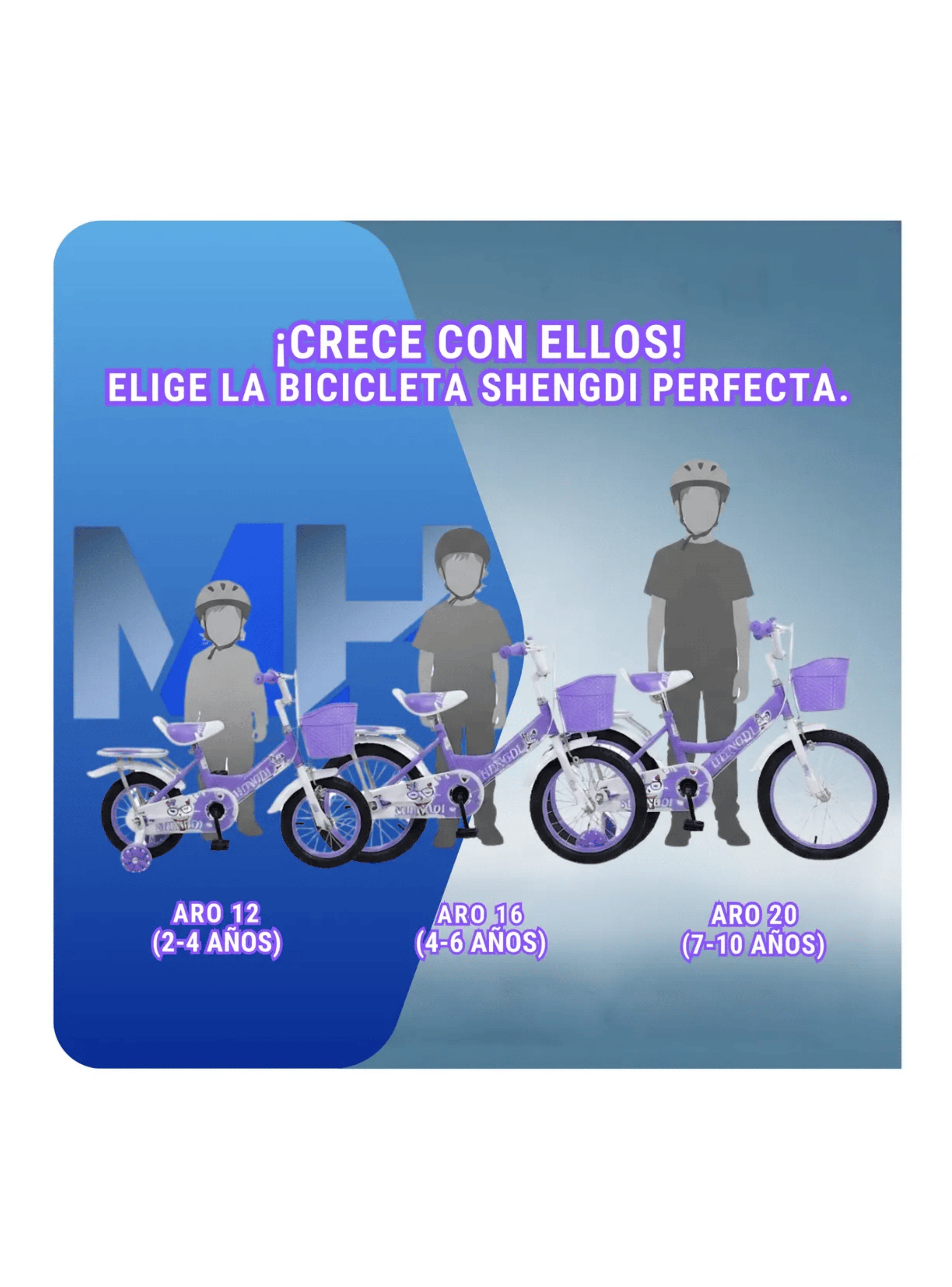 Bicicleta Infantil Con Rueditas Aro 12 Aro 16 Aro 20 Canasto-5