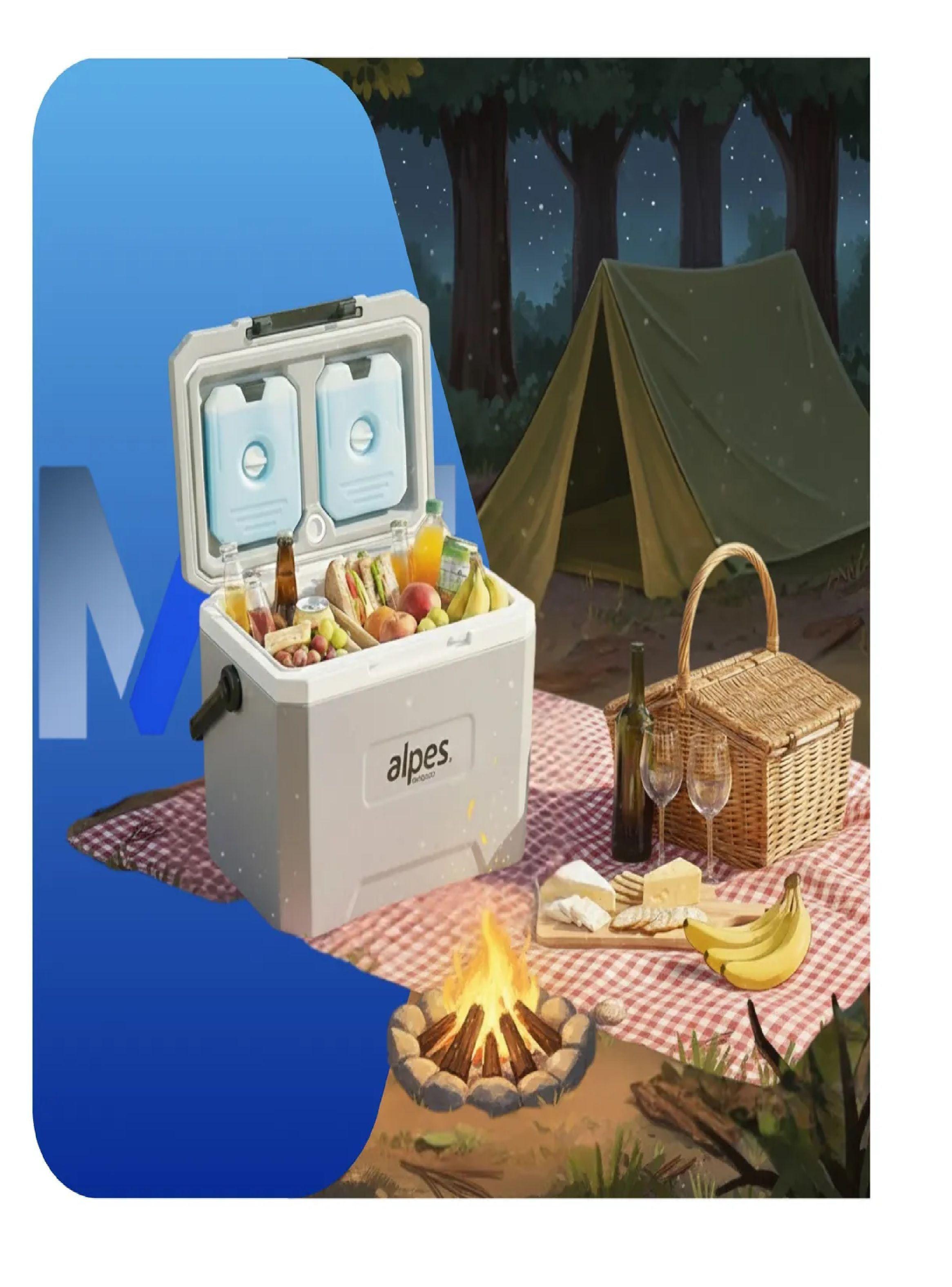 Nevera Rigida Alpes 22 Litros Cooler Termica Con 2 Ice Pack-3