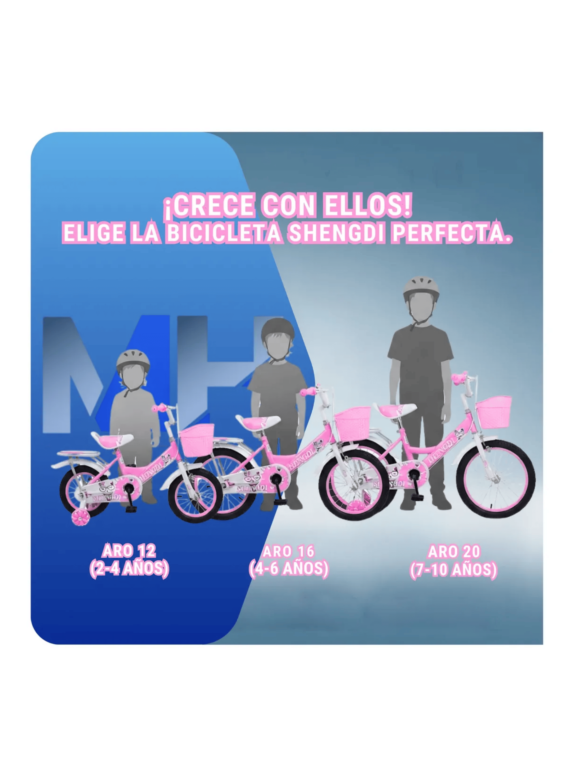 Bicicleta Infantil Con Rueditas Aro 12 Aro 16 Aro 20 Canasto-6