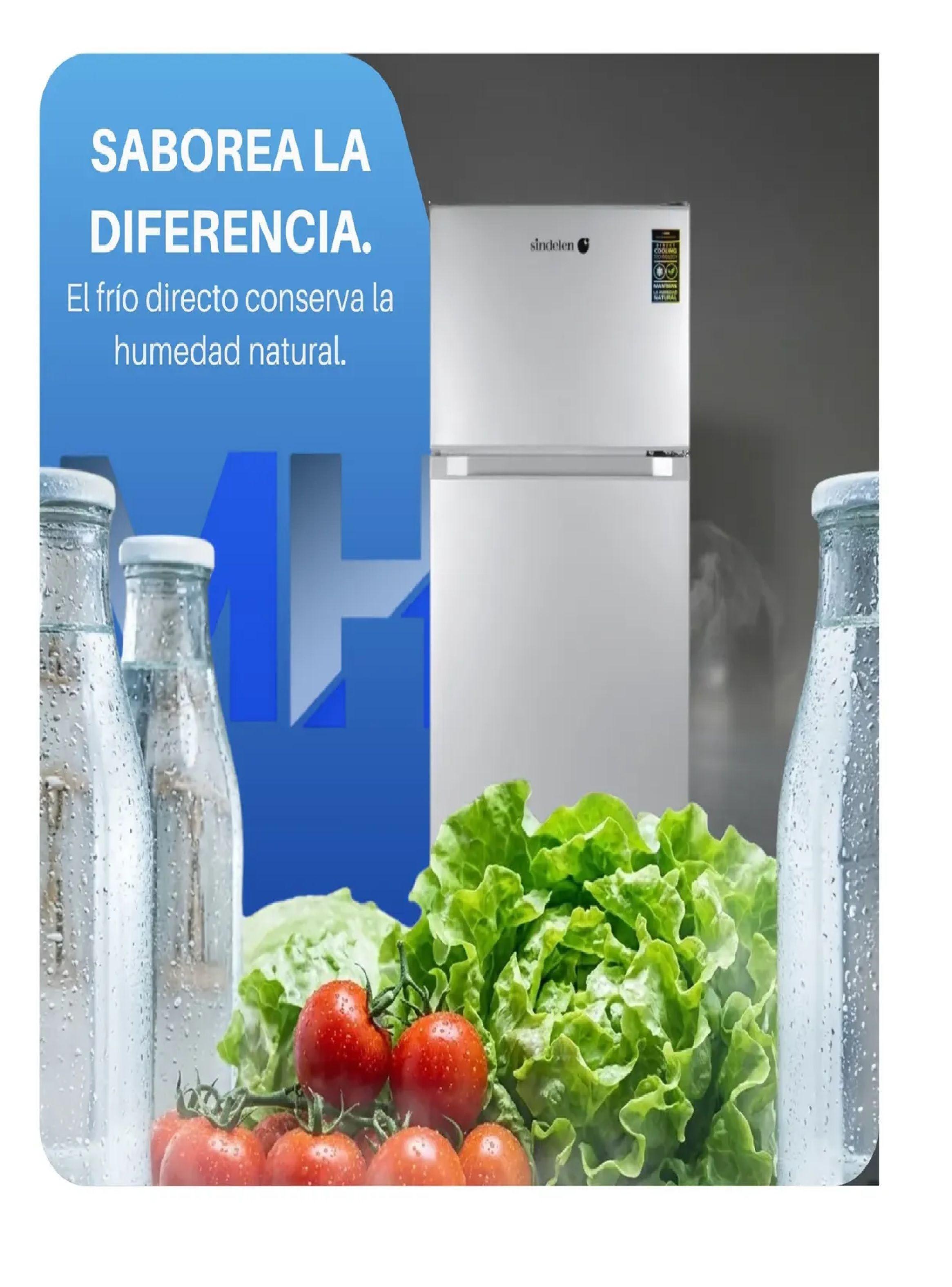 Refrigerador Top Mount Sindelen Rd 2020si 206l Silver-1