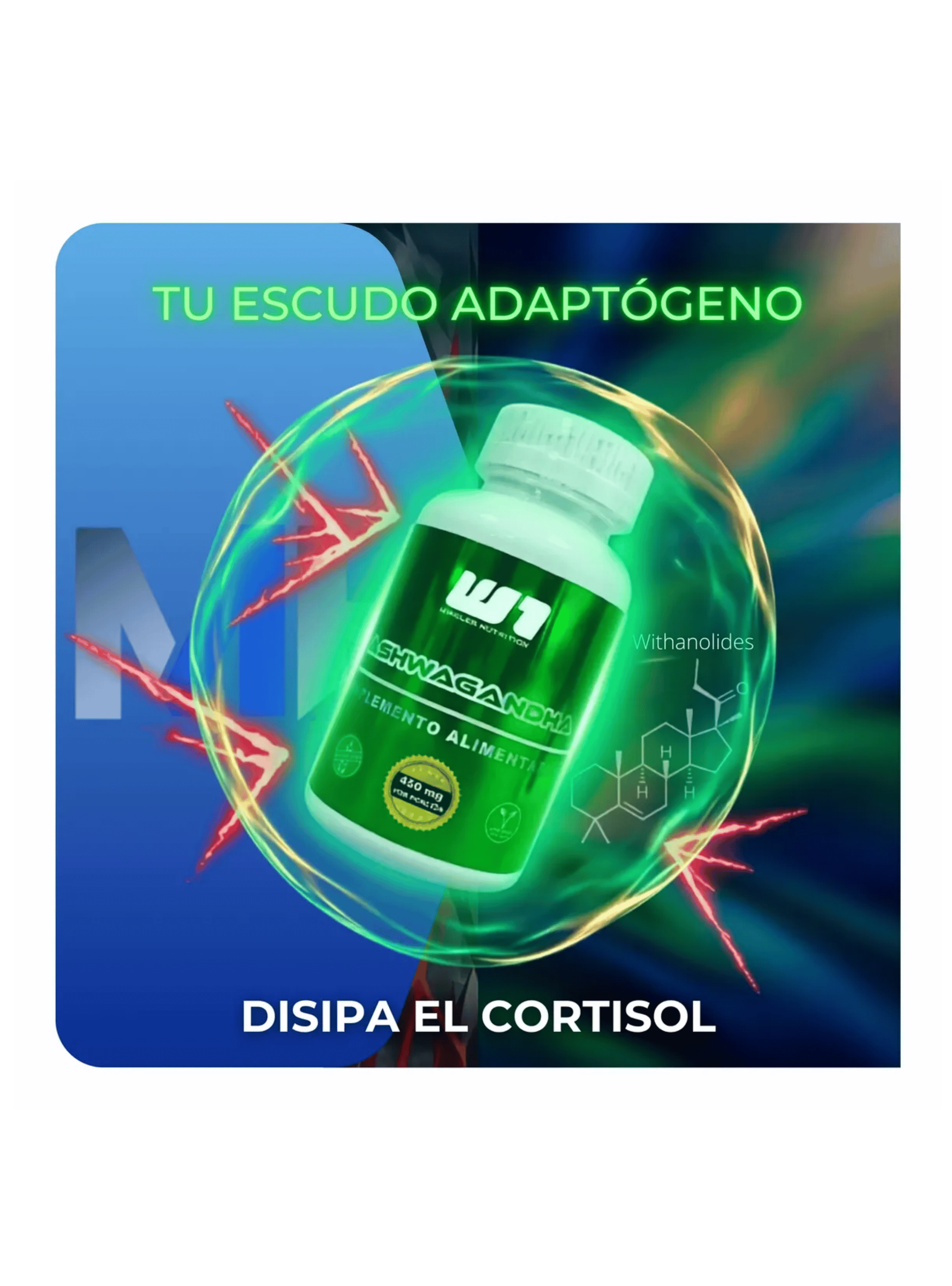 Pack Magnesio Citrato Ashawaganda Sue o Descanso Winkler-4