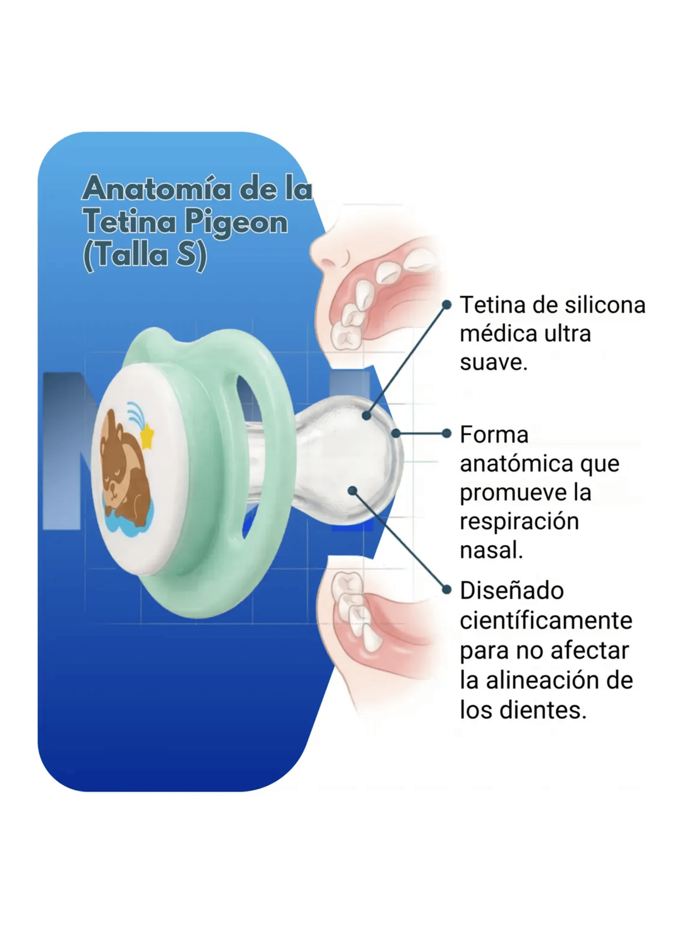 Chupete Mini Light 2 Pcs Odontologico Pigeon Libre Bpa Azul verde 6 12-5