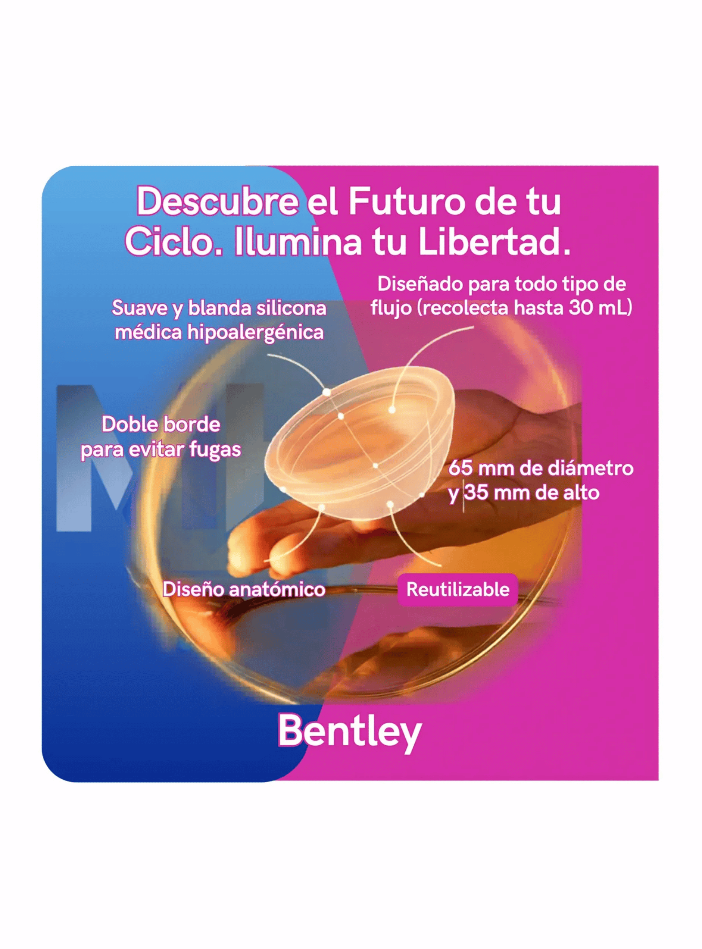 Disco Menstrual Bentley Silicona M dica Sexfriendly 12h-3