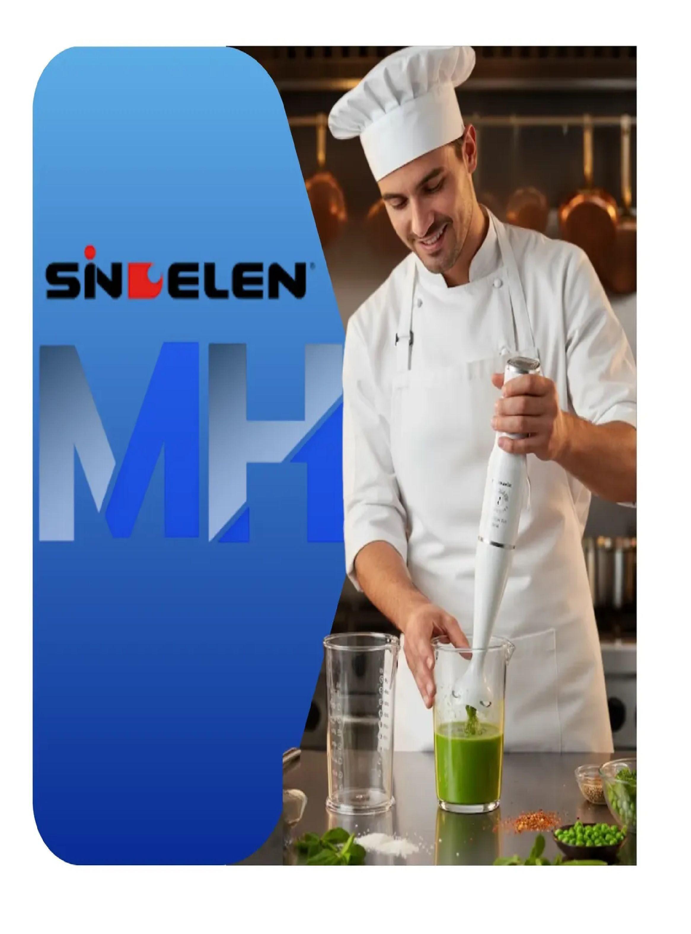 Batidora De Inmersion Sindelen Bm-500bl 450w + Vaso Medidor-2