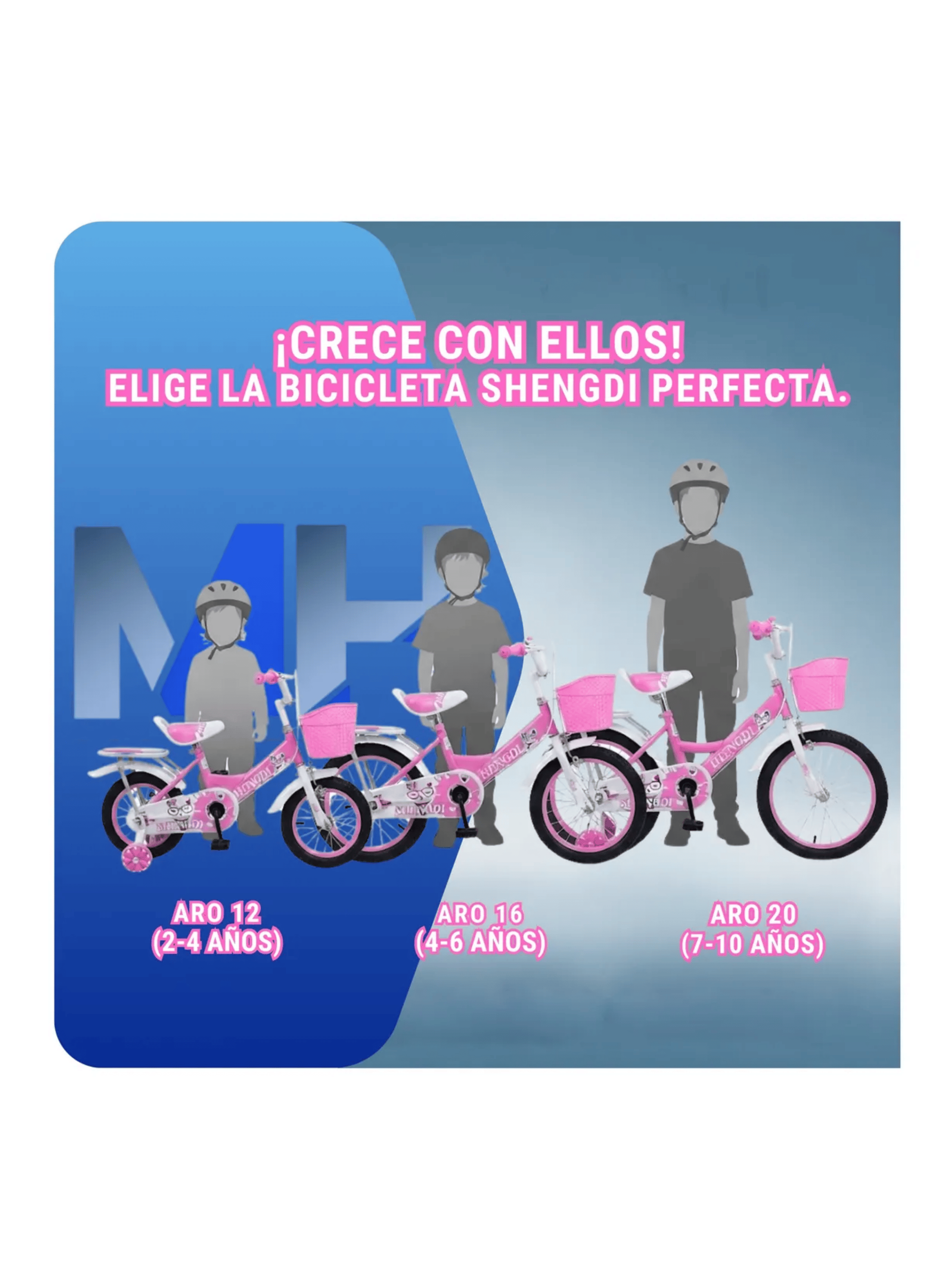 Bicicleta Infantil Con Rueditas Aro 12 Aro 16 Aro 20 Canasto-5