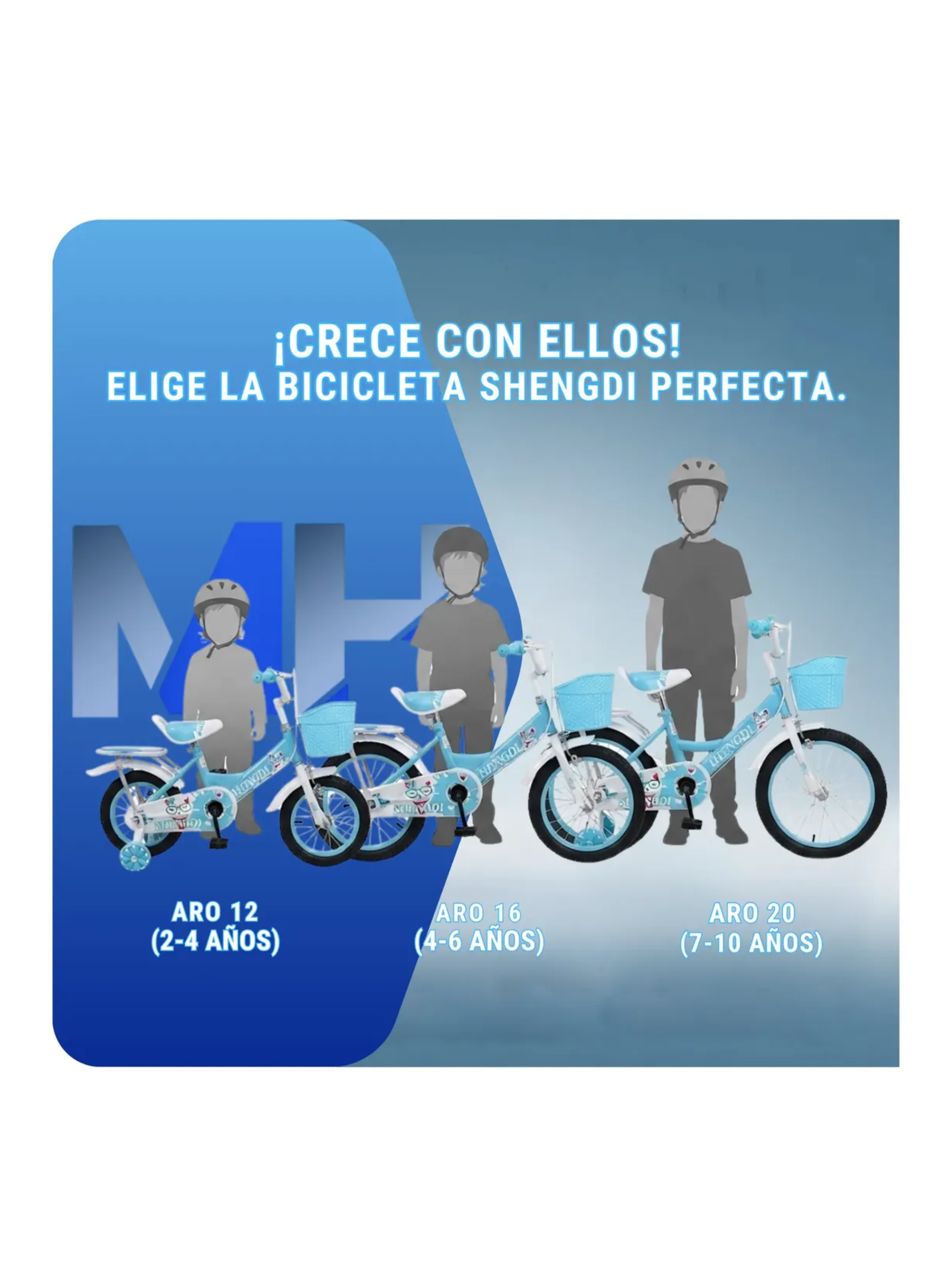 Bicicleta Infantil Con Rueditas Aro 12 Aro 16 Aro 20 Canasto-6