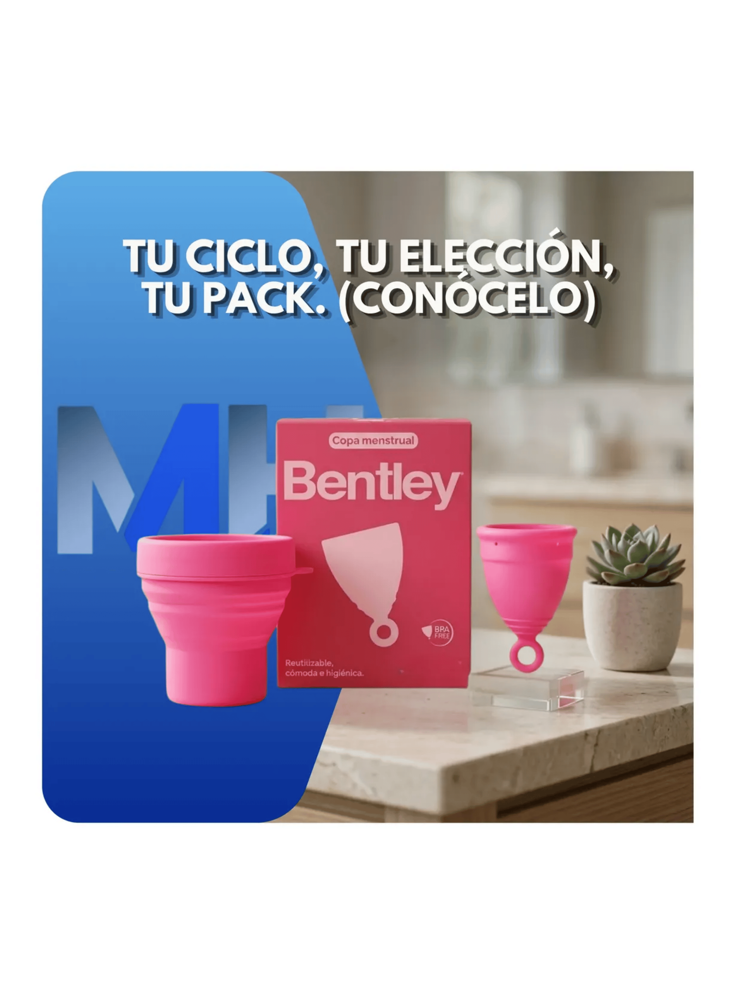 Kit Copa Menstrual Bentley Ecofriendly Vaso Esterilizador Talla 2-6