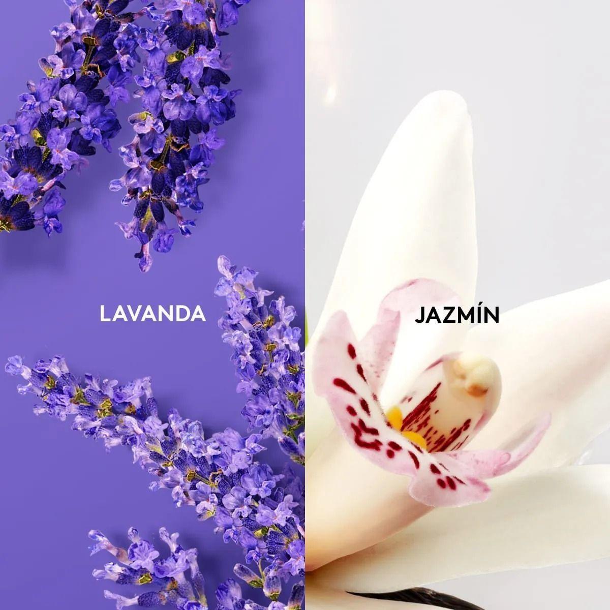 Shampoo Agu Con Aroma Relajante Para Cabello Y Cuerpo Esika-2
