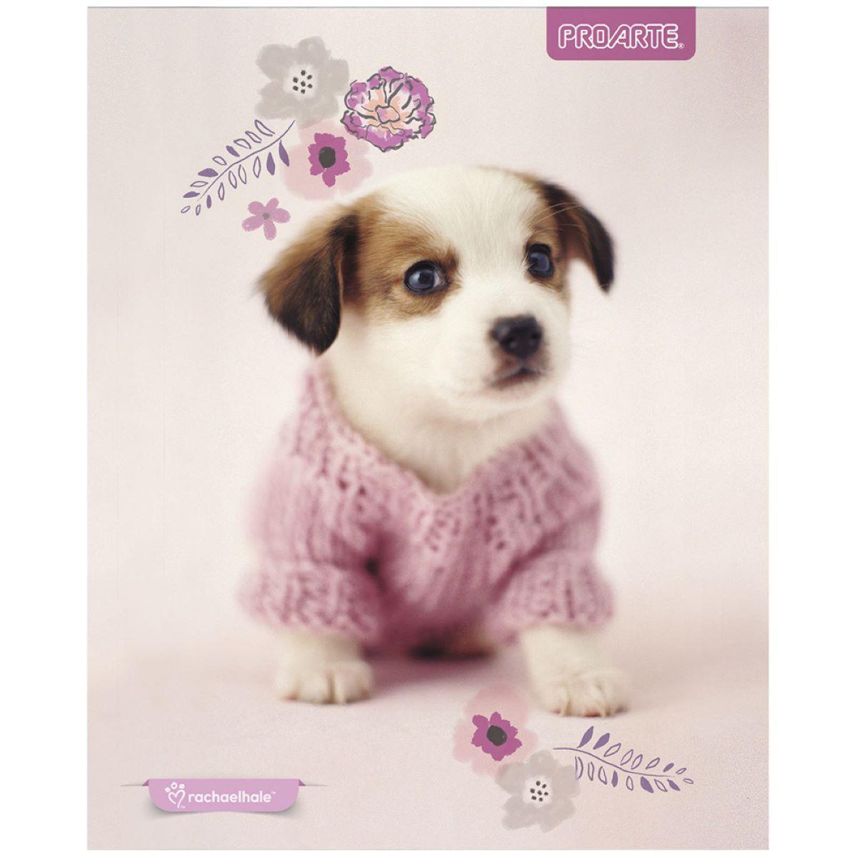 Cuadernos Proarte Rachaelhale 100 Hojas 7mm x 10 unidades-0