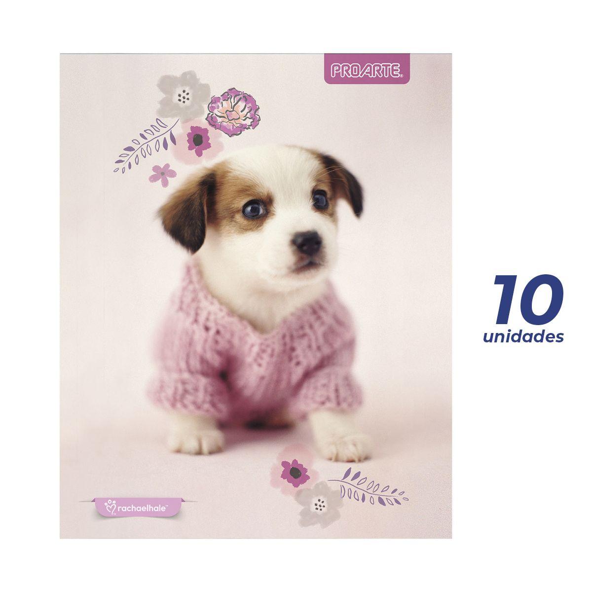 Cuadernos Proarte Rachaelhale 100 Hojas 7mm x 10 unidades-1