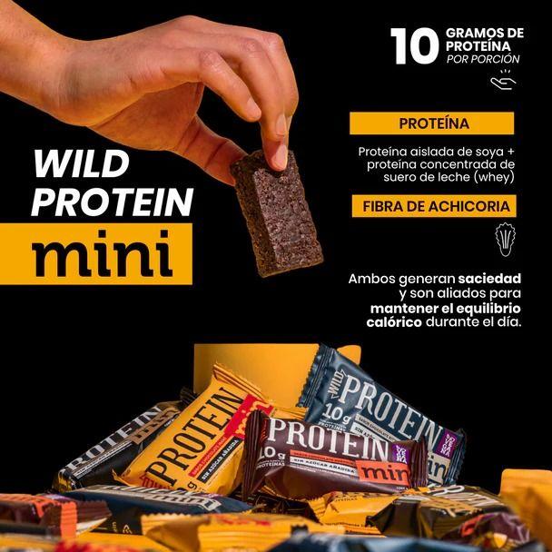 Mini Barra Wild Protein Chocolate Maní 24 unidades-3