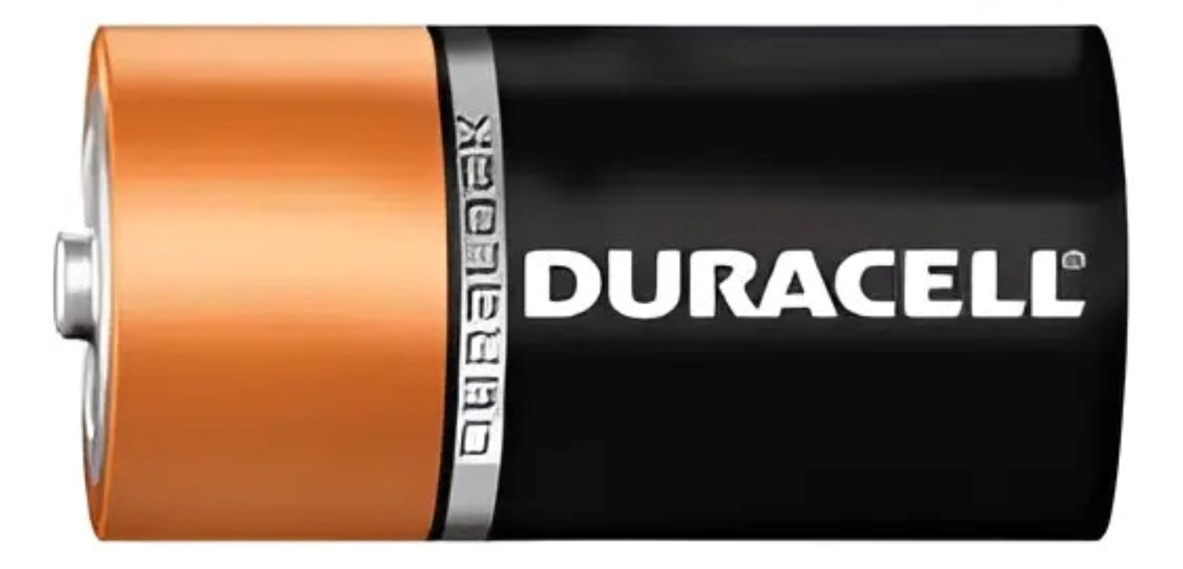 Pack 6 Pilas Alcalina Duracell Blister D-1