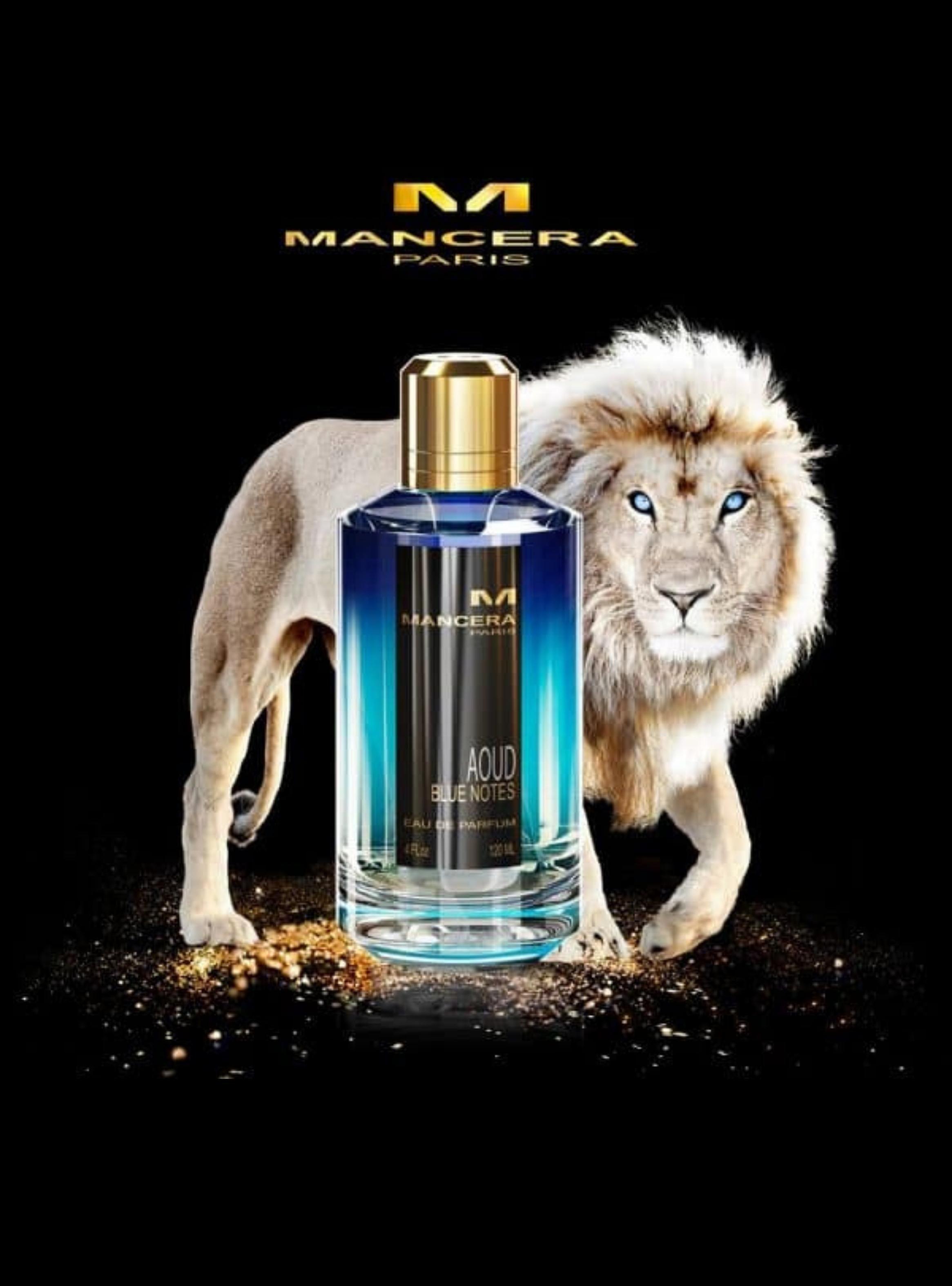 MANCERA MANCERA AOUD BLUE NOTES 120ML EDP-2