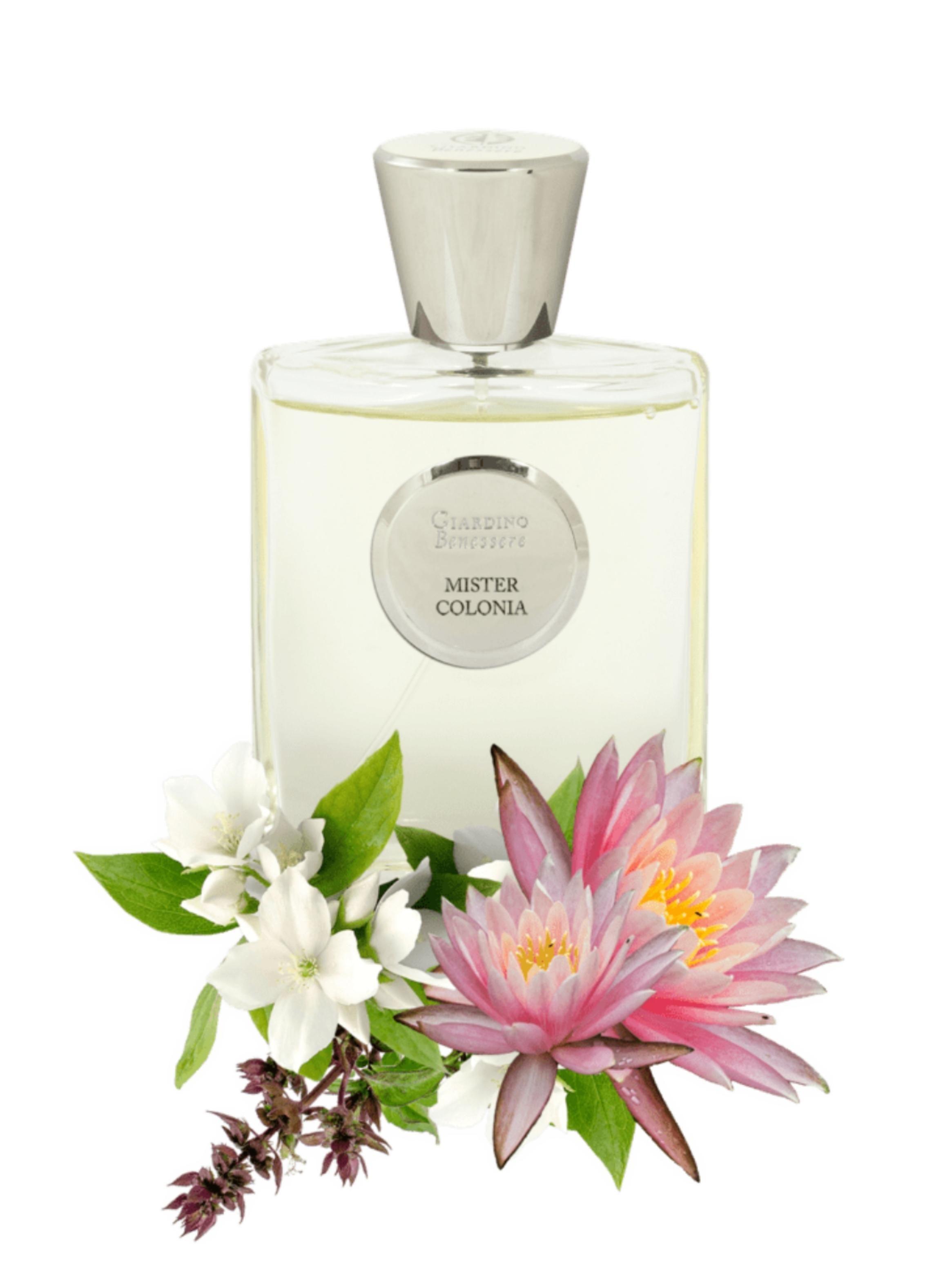 GIARDINO BENESSERE MISTER COLONIA EDP 100ML-2