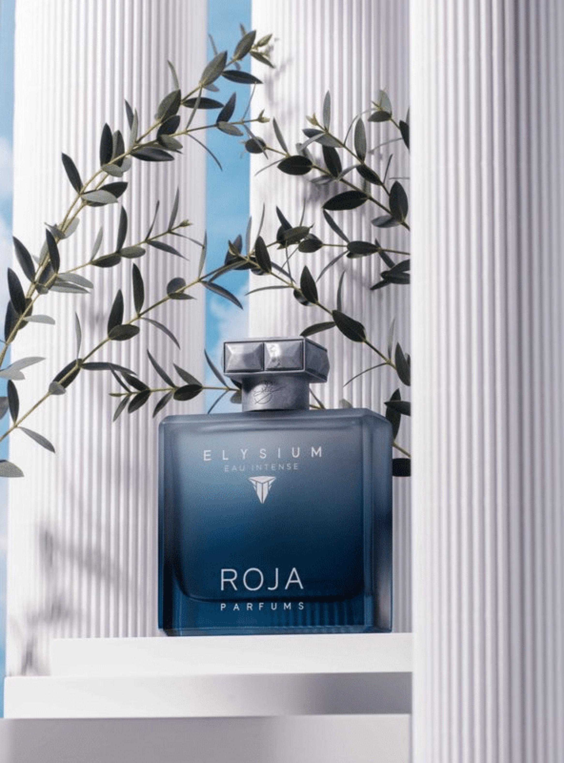 ROJA PARFUMS ELYSIUM EAU INTENSE 100ML-2