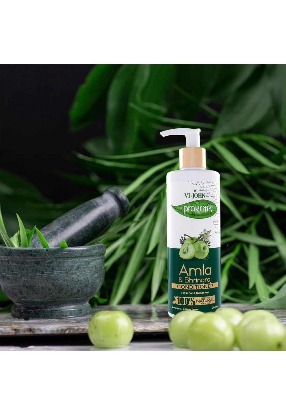 Prakritik Acondicionador Amla y Polvo Ayurdévica 250 ml-2
