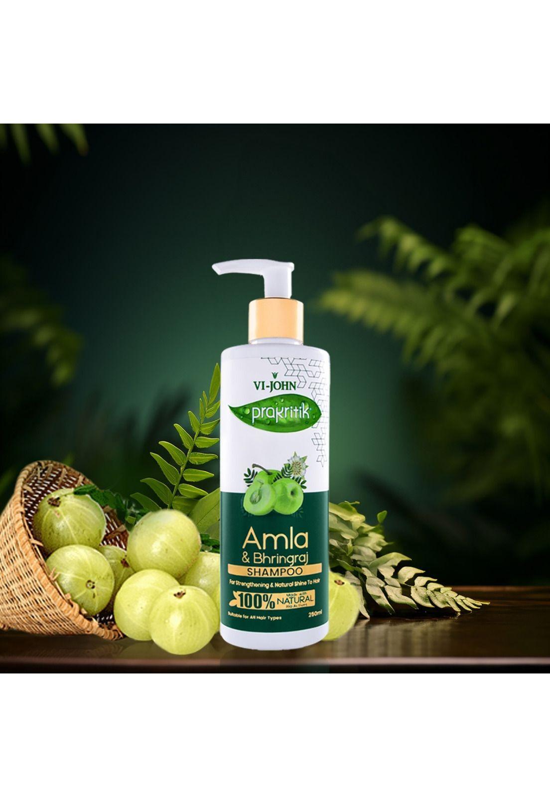 Prakritik Shampoo Amla y Polvo Ayurvédica 250 ml-2