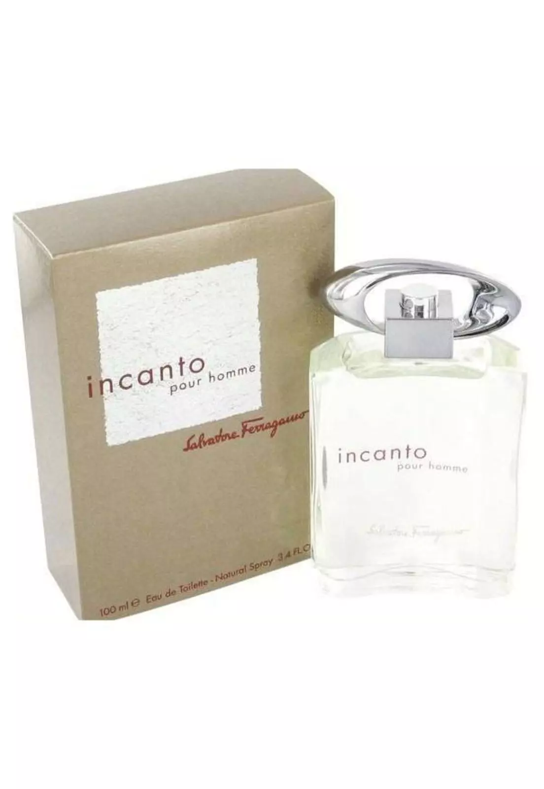 Incanto Pour Homme by Ferragamo 100 ML-0