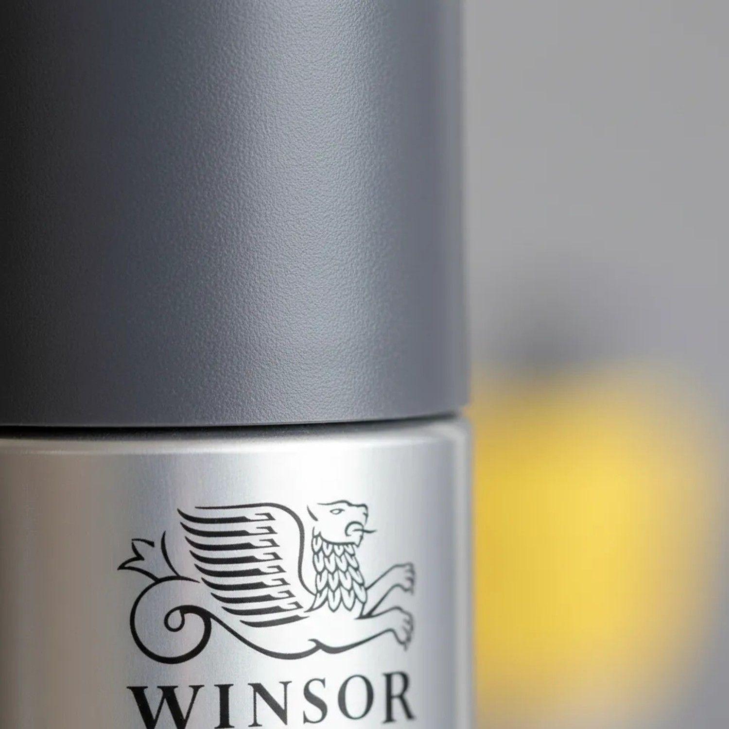 Fijador Para Dibujos Spray Winsor & Newton 150ml-2