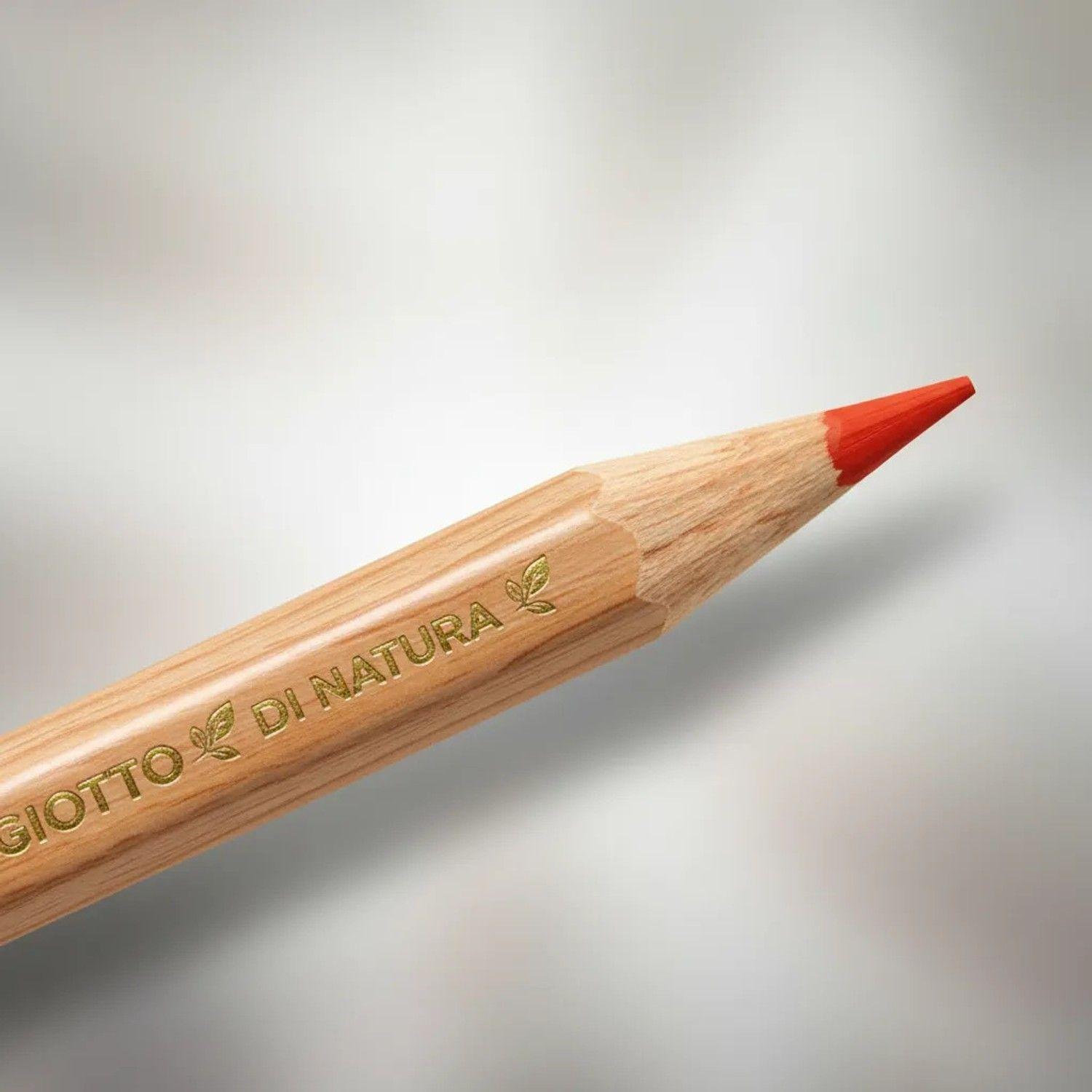 Lapiz Giotto Supermina Di Natura - 36 Colores 36 Colores-2