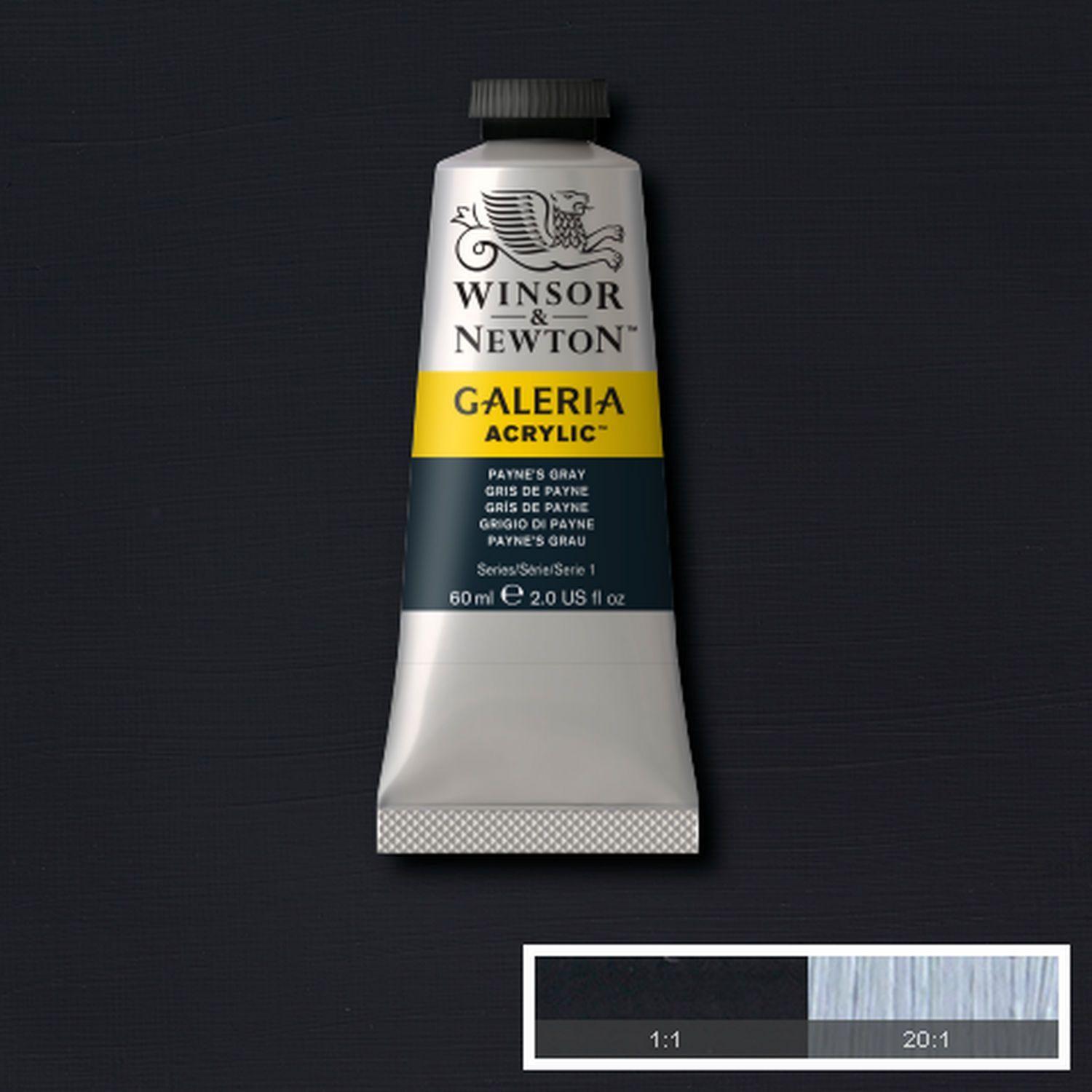 Acrilico Galeria 60ml gris de payne Winsor & Newton-1