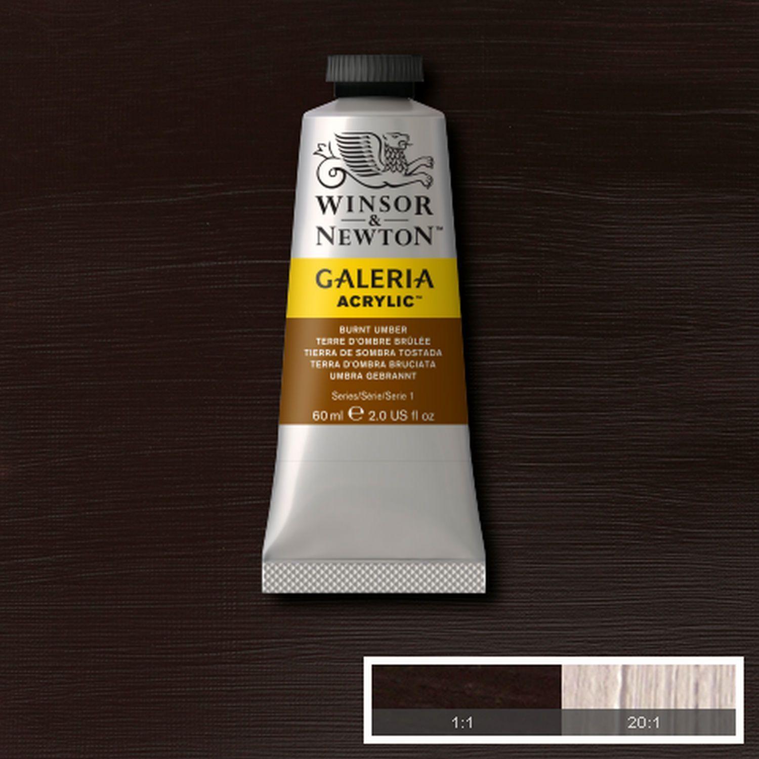 Acrilico Galeria 60ml t.sombra tostada Winsor & Newton-1