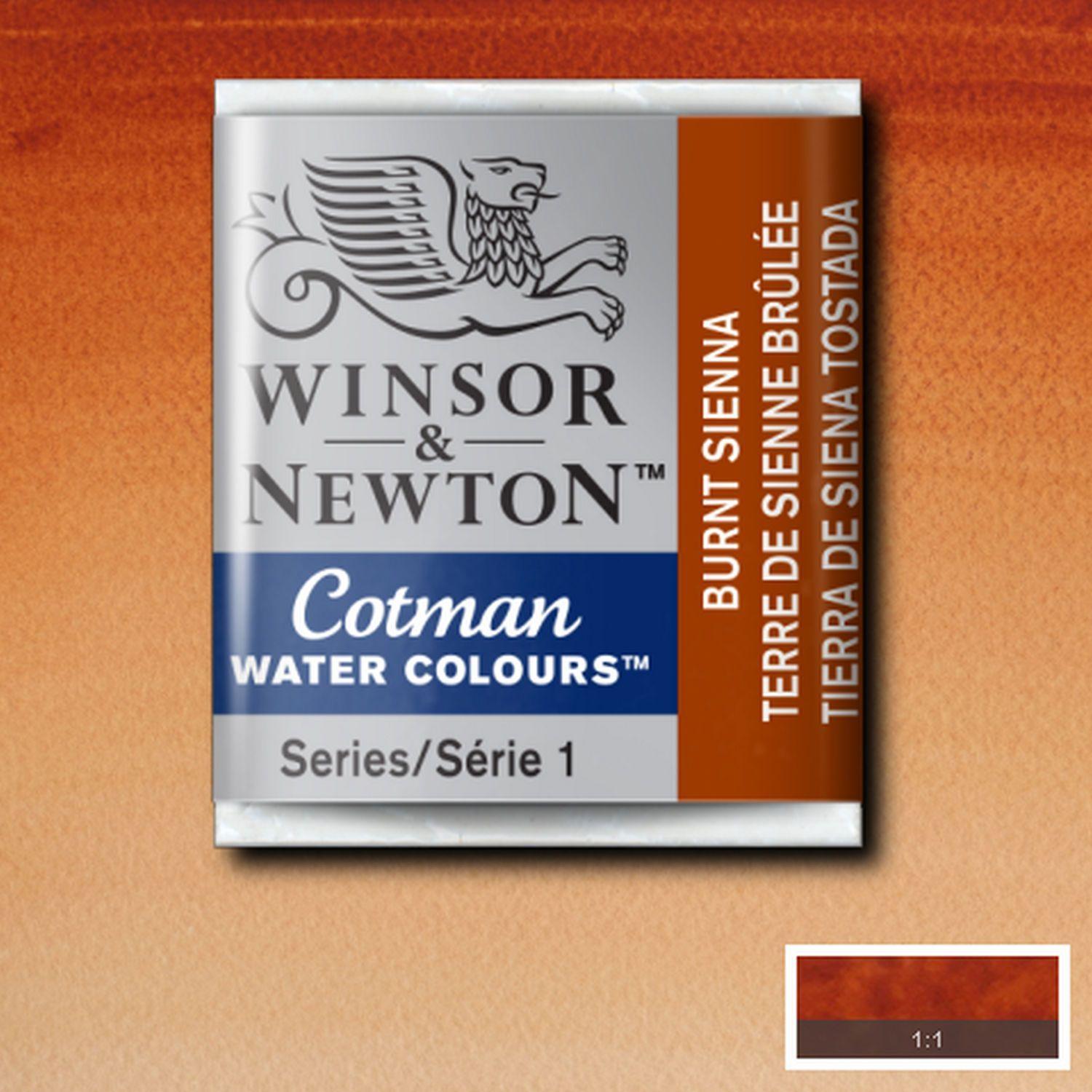 Acuarela Cotman m/pan tierra de siena Winsor & Newton-1