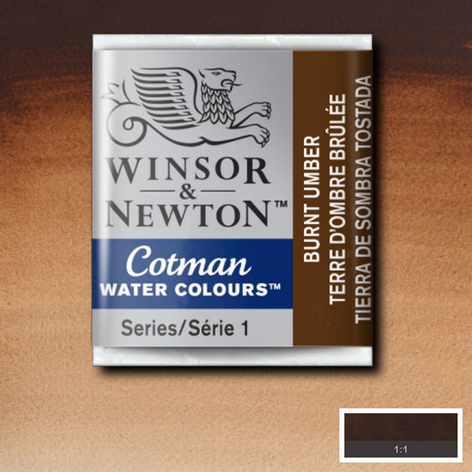 Acuarela Cotman m/pan tierra sombra tostada Winsor & Newton-1