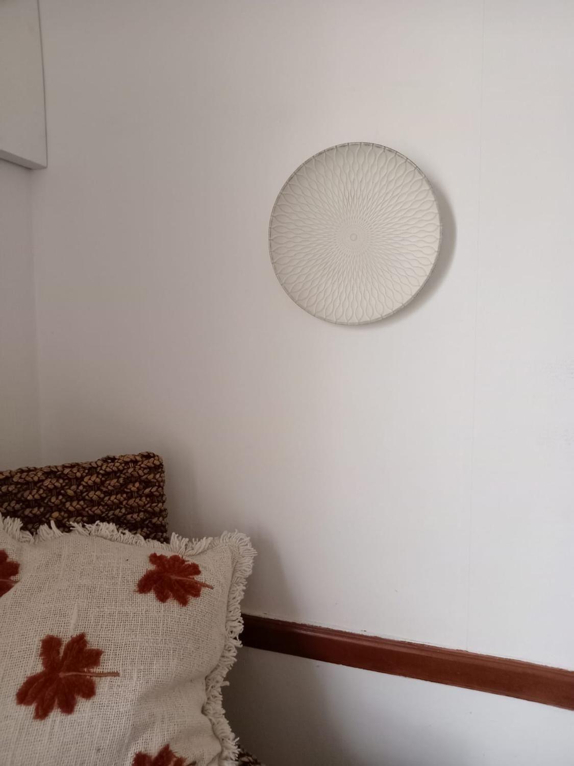 Plato Decorativo Líneas Curvas 30 cm-3