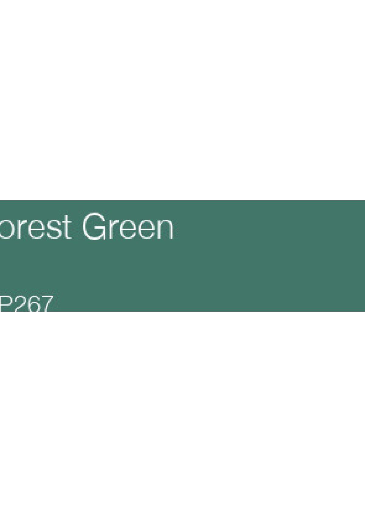 Lápiz de Color Holbein color Forest Green-2