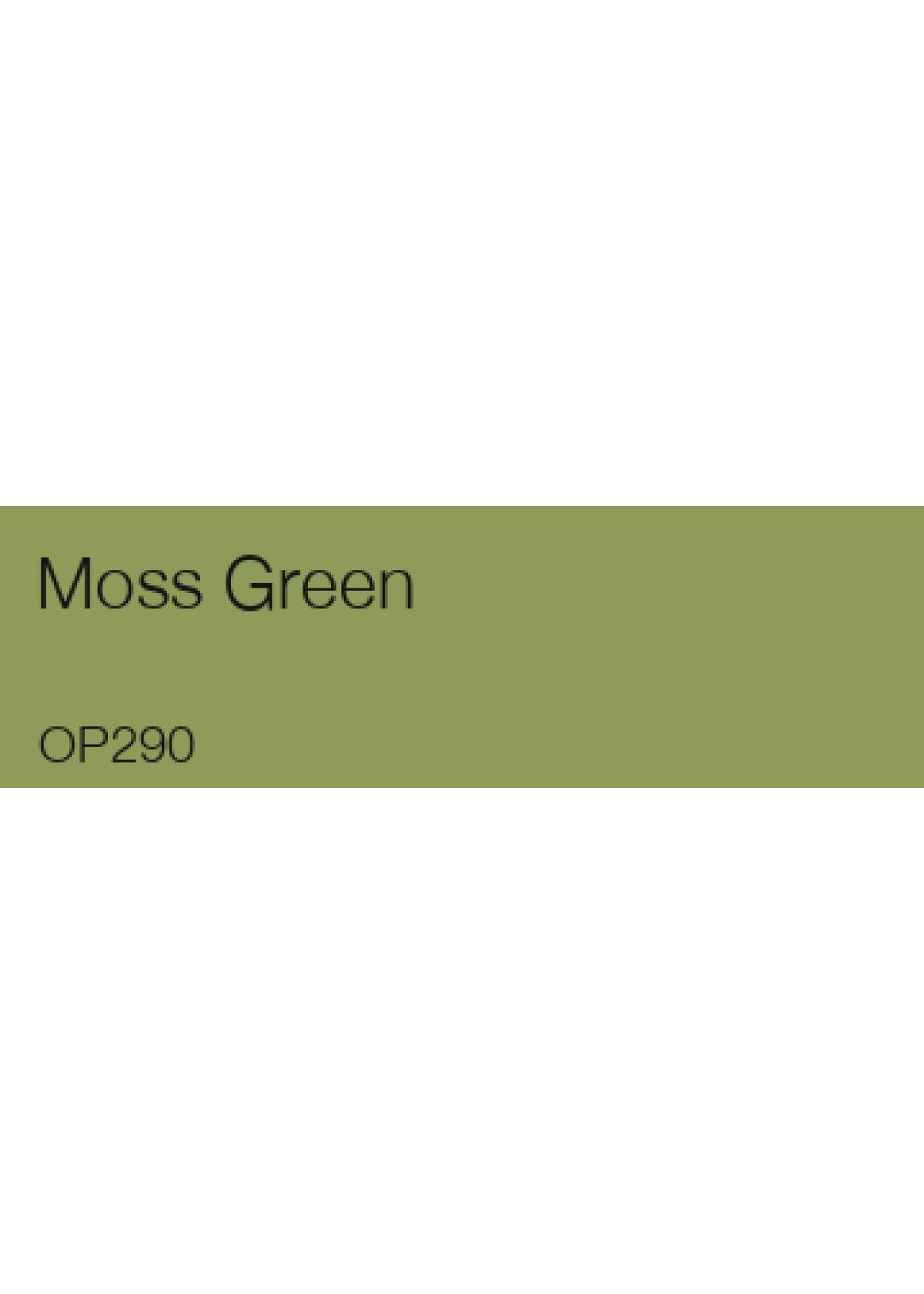 Lápiz de Color Holbein color Moss Green-1