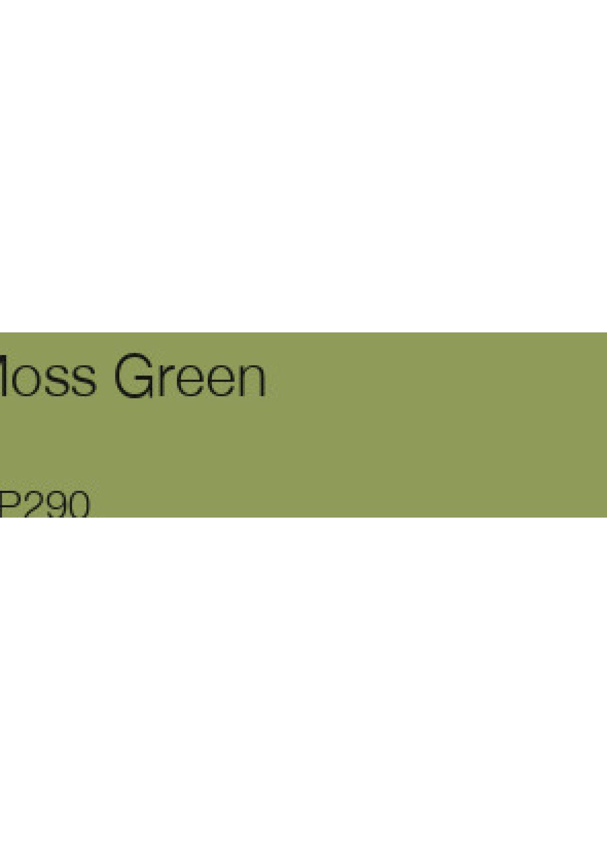 Lápiz de Color Holbein color Moss Green-2