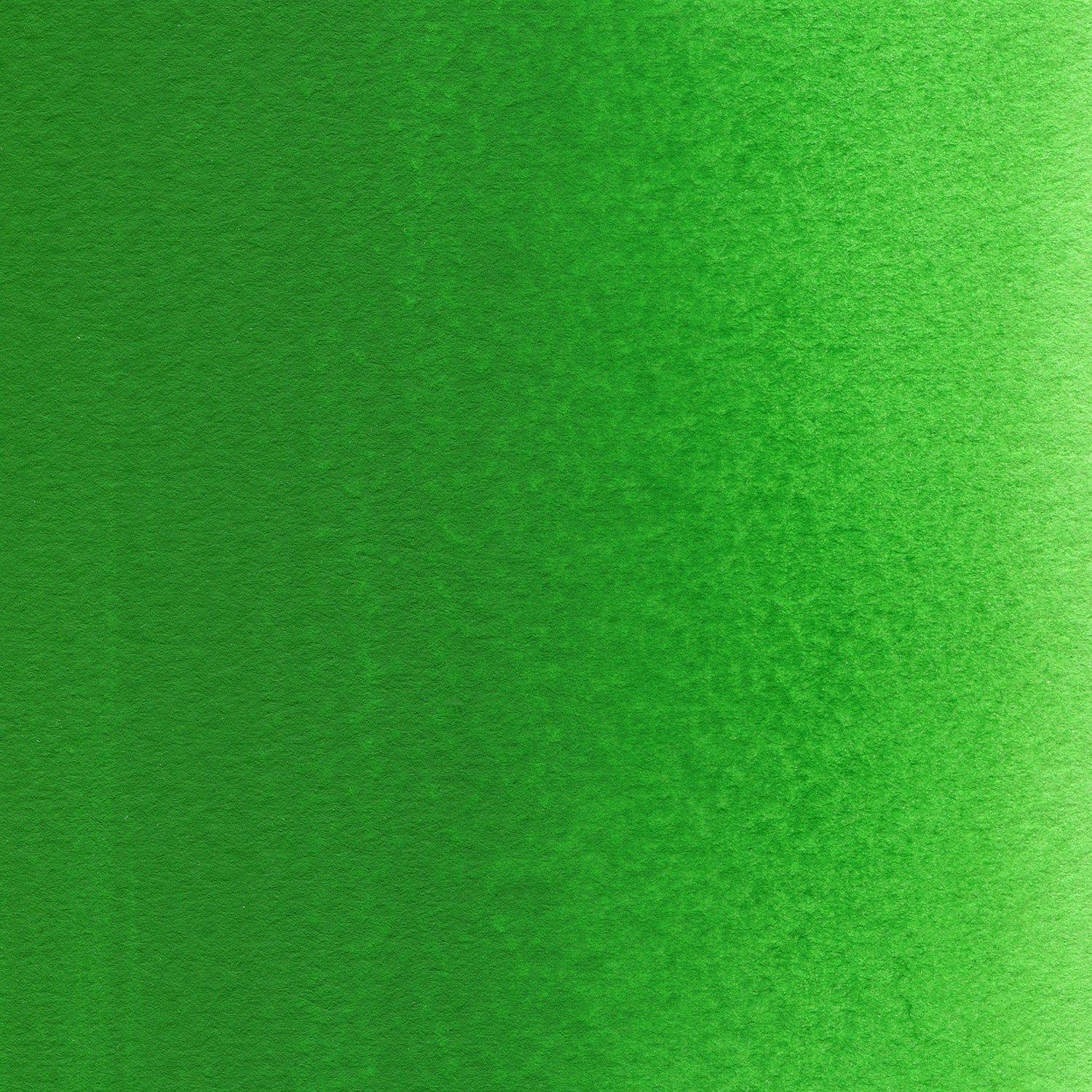 Acuarela Profesional Holbein HWC 15ml W267 Permanent Green #2-1