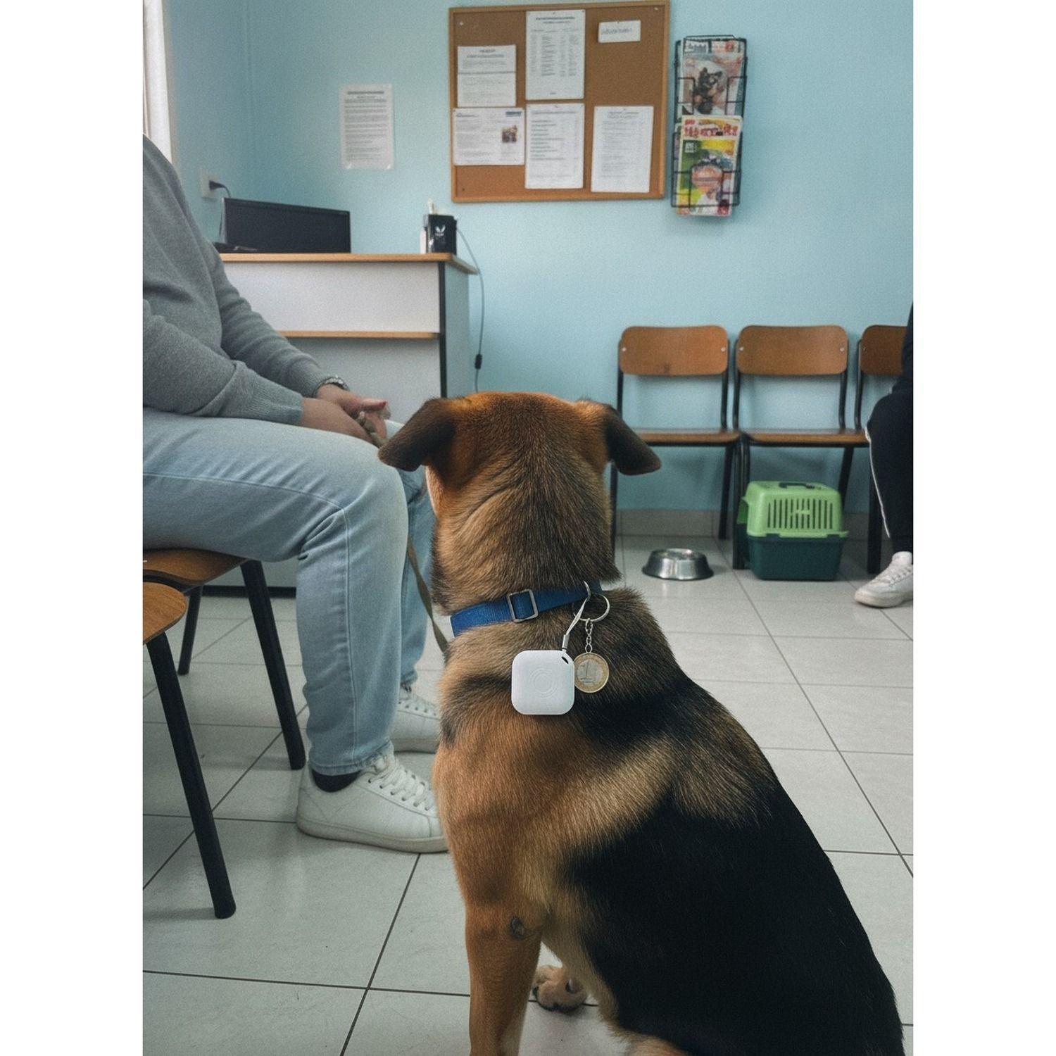 GPS Rastreo Smart Tag Mascotas iOS Blanco-4